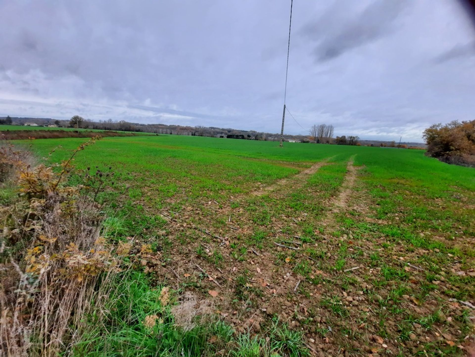 casa no La sauvetat du dropt, Nouvelle-Aquitaine 10024407