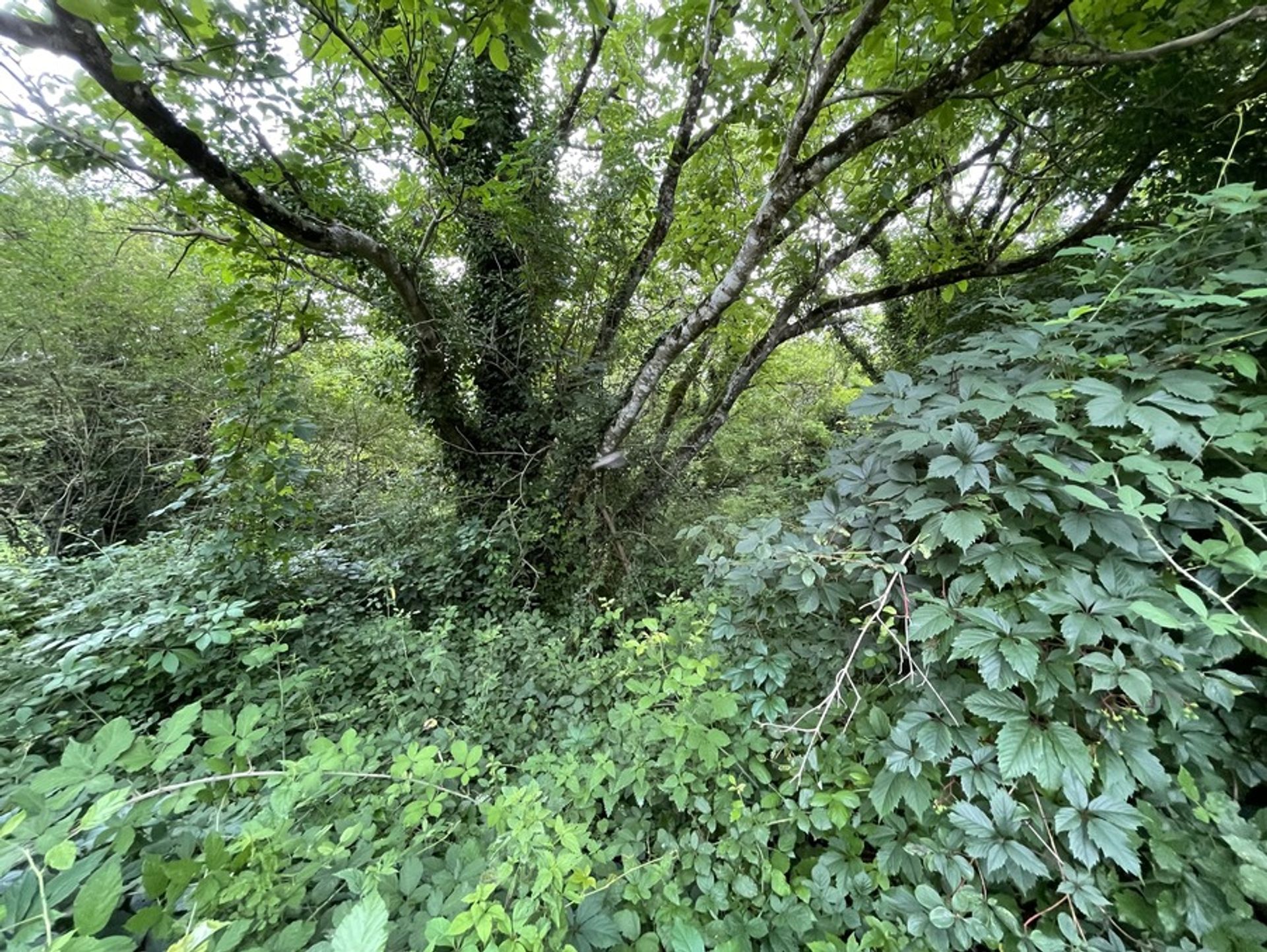 Terre dans Lacapelle-Biron, Nouvelle-Aquitaine 10024418