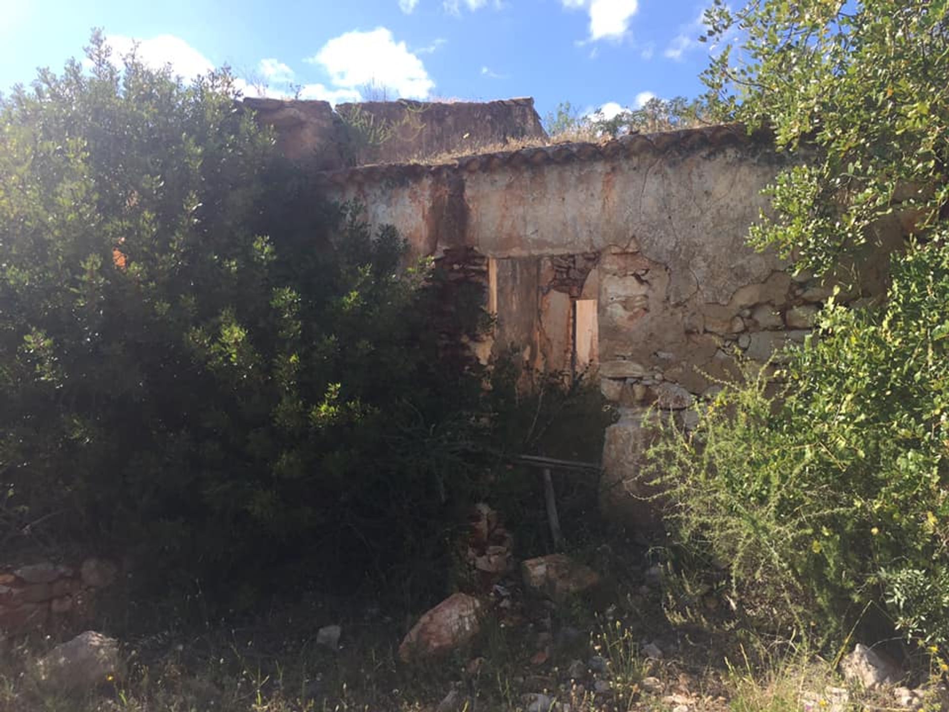 Γη σε Loule,  10024430