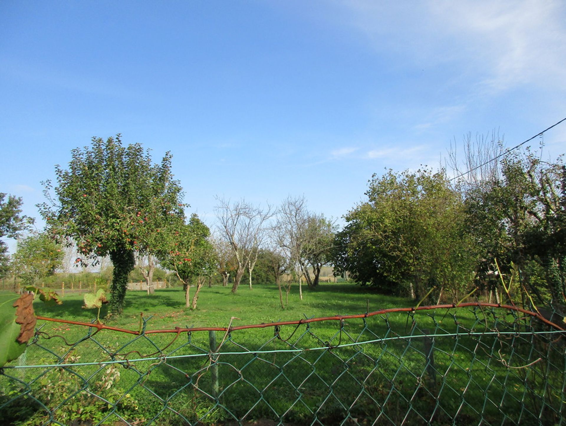 Casa nel Roumagne, Nouvelle-Aquitaine 10024473