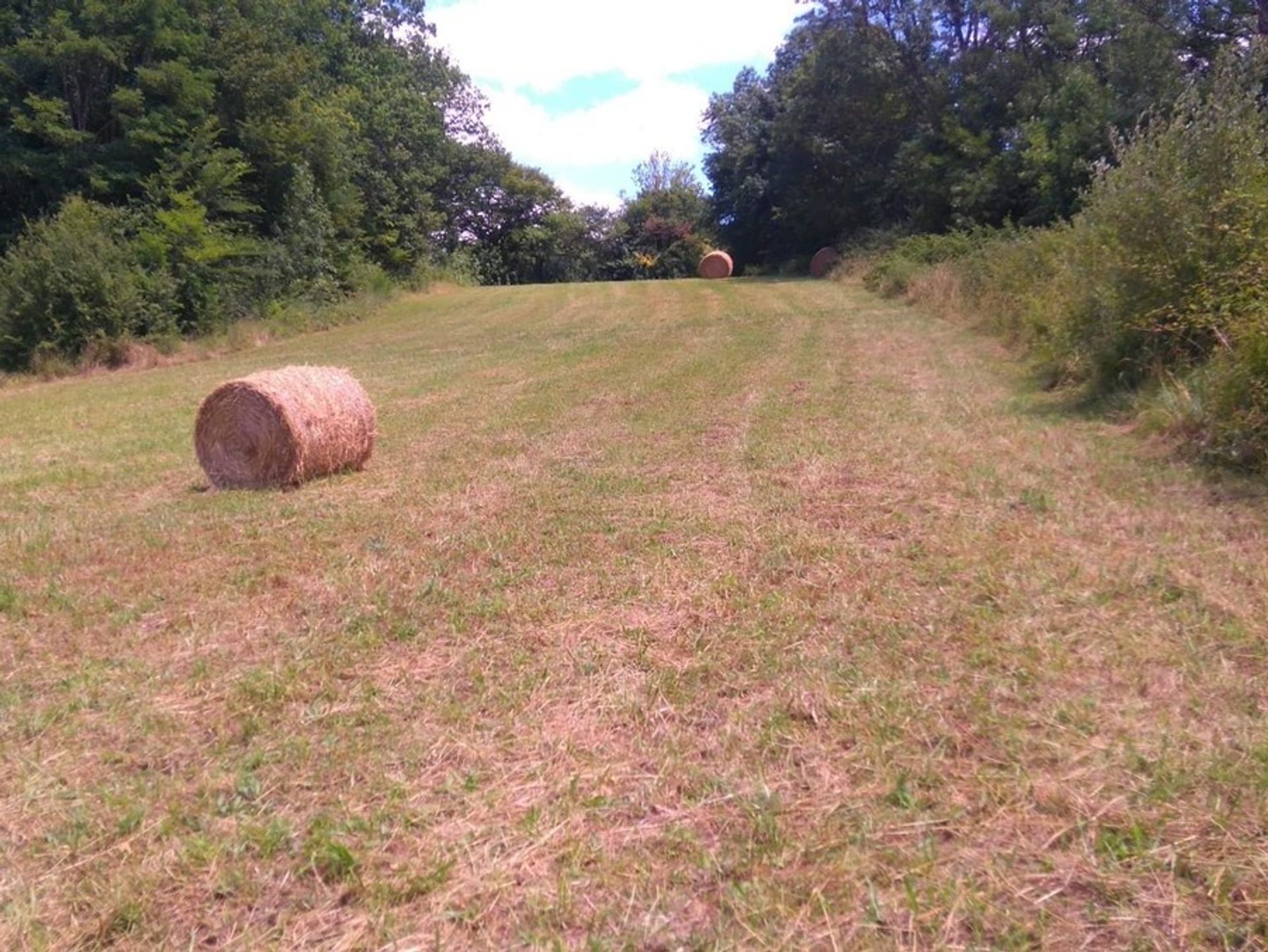 Talo sisään Segalas, Nouvelle-Aquitaine 10024483