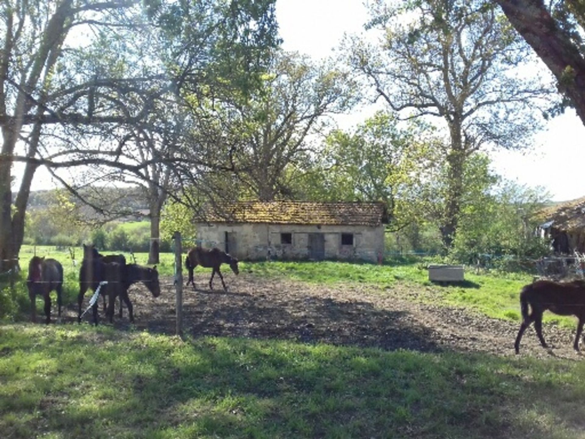 Будинок в St maurice de lestapel, Nouvelle-Aquitaine 10024487