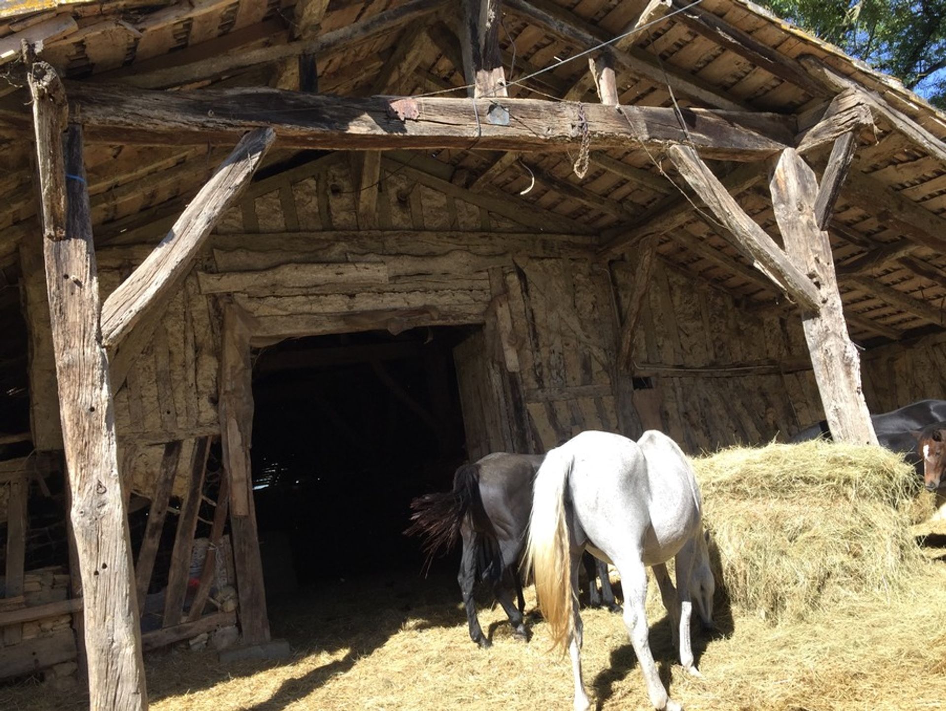 casa no St maurice de lestapel, Nouvelle-Aquitaine 10024487