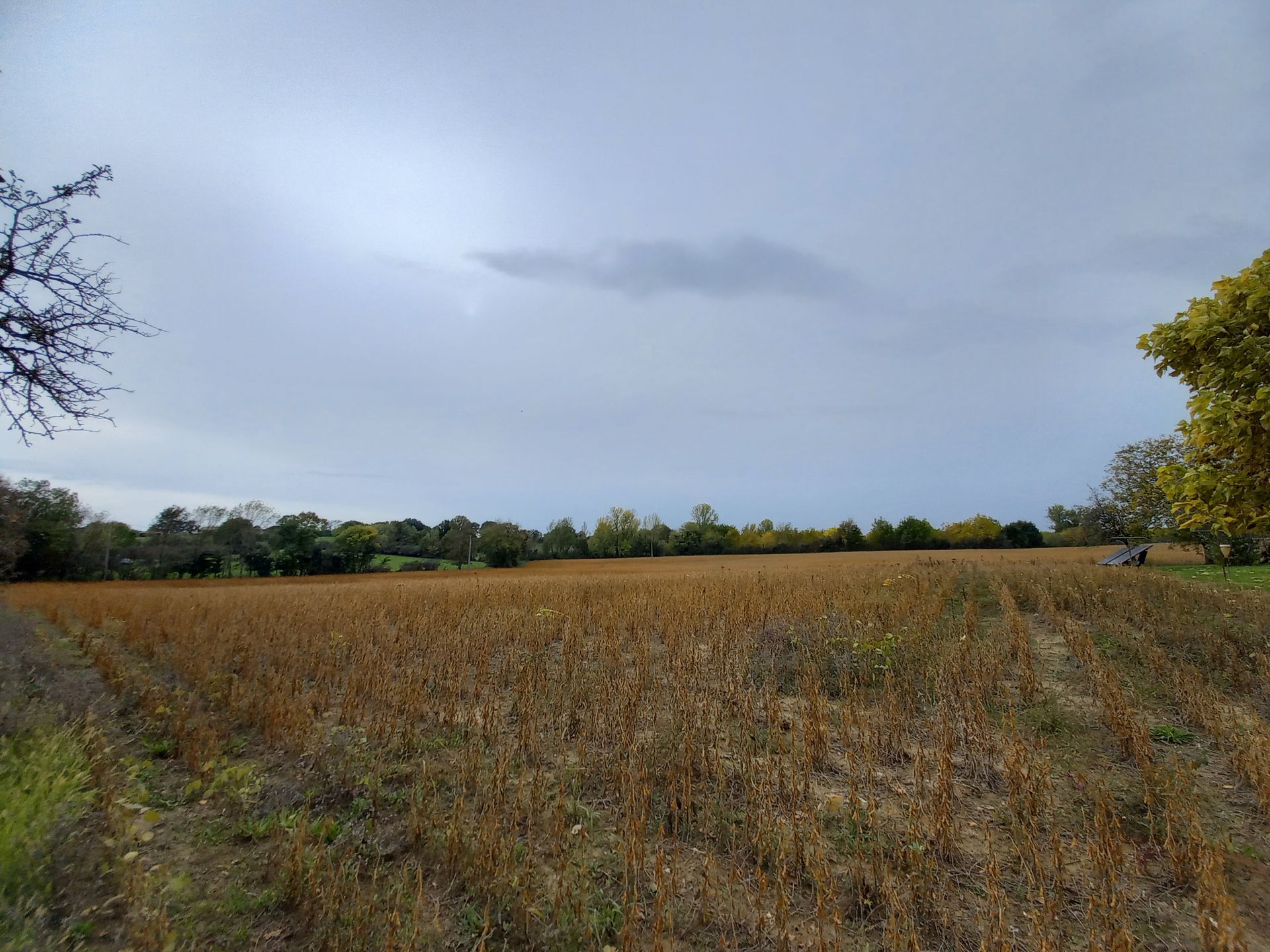 土地 在 维勒雷亚尔, 新阿基坦大区 10024497