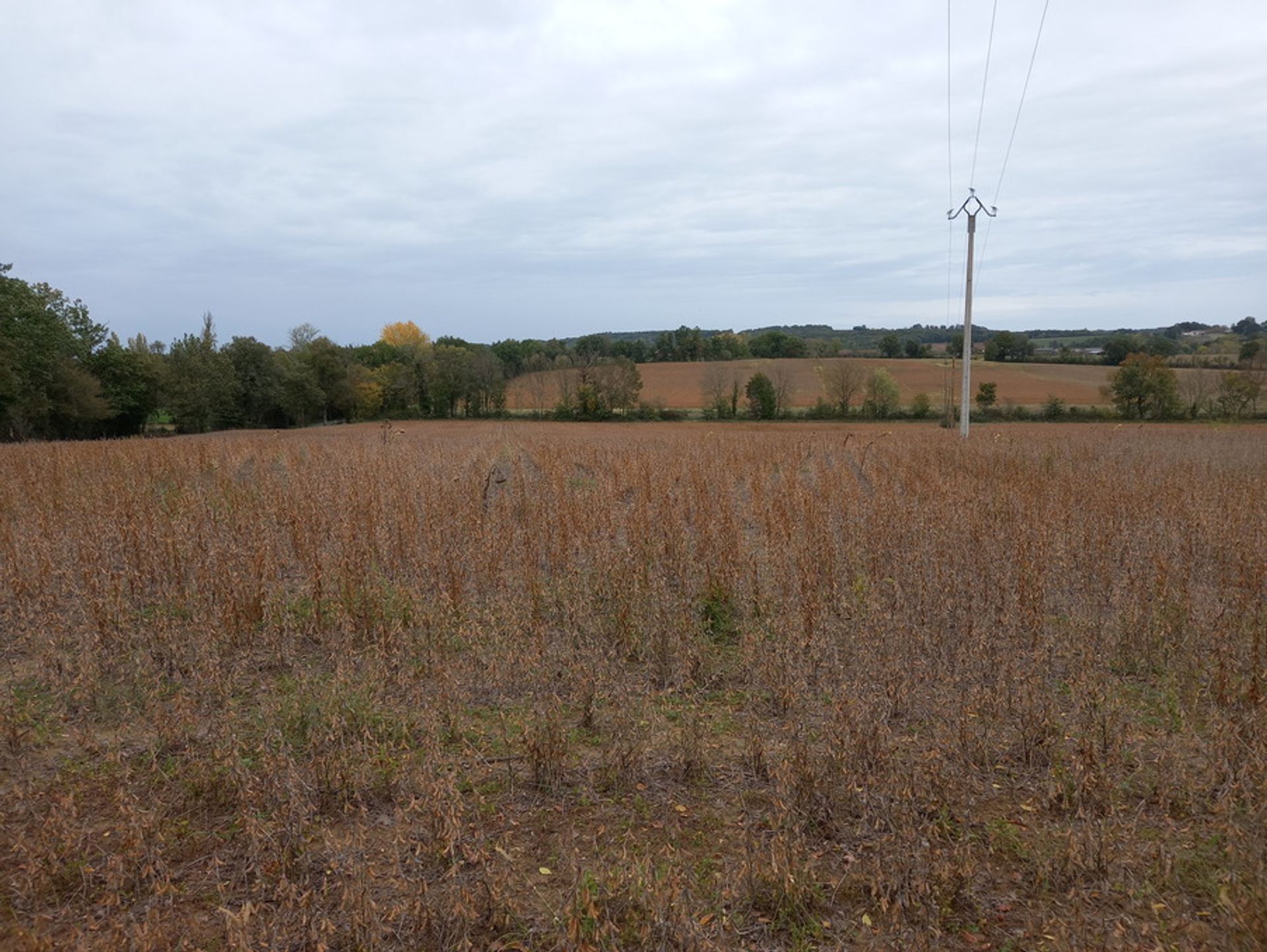 Land in Villereal, Nouvelle-Aquitaine 10024497