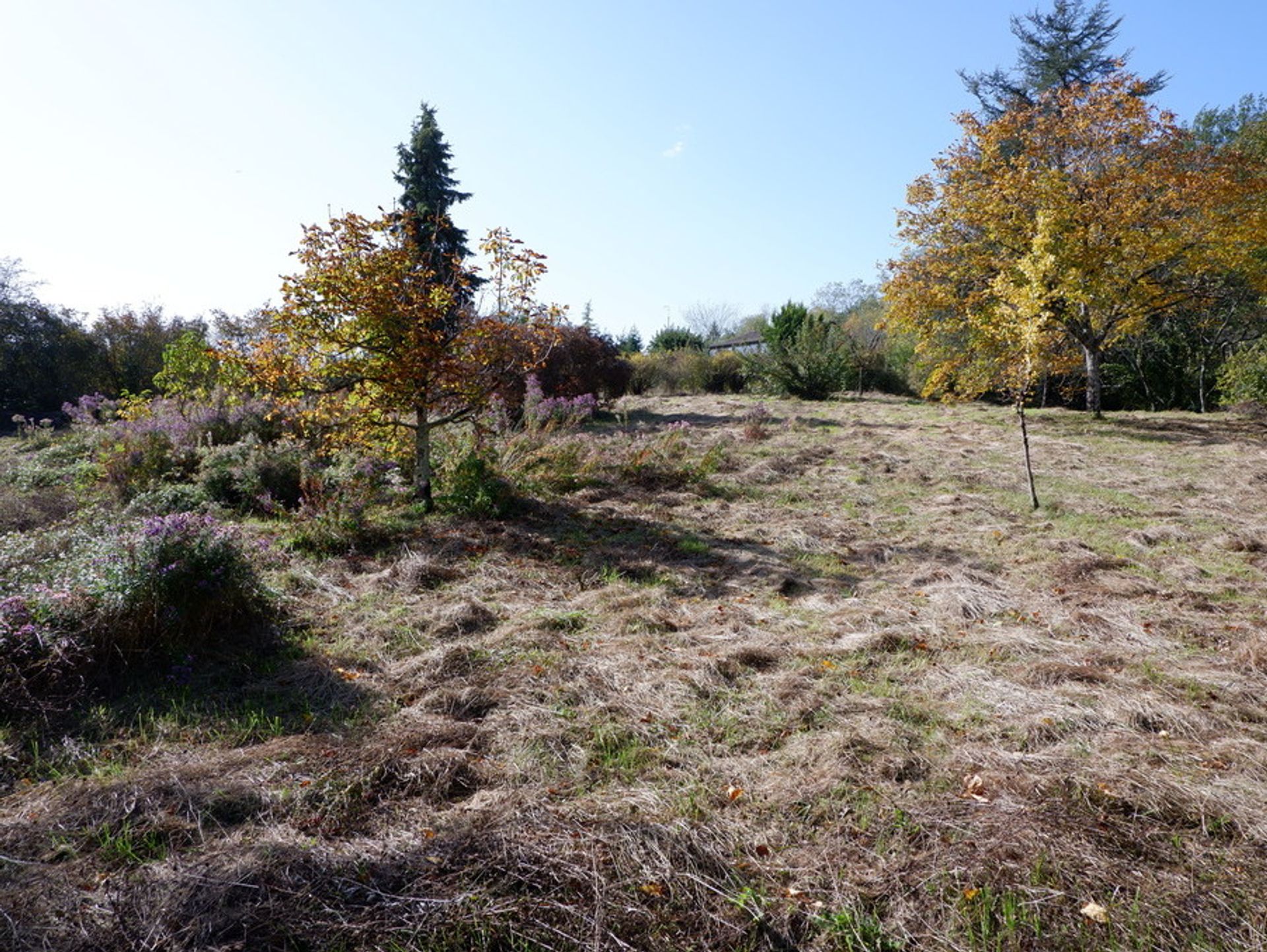 بيت في Villereal, Nouvelle-Aquitaine 10024500