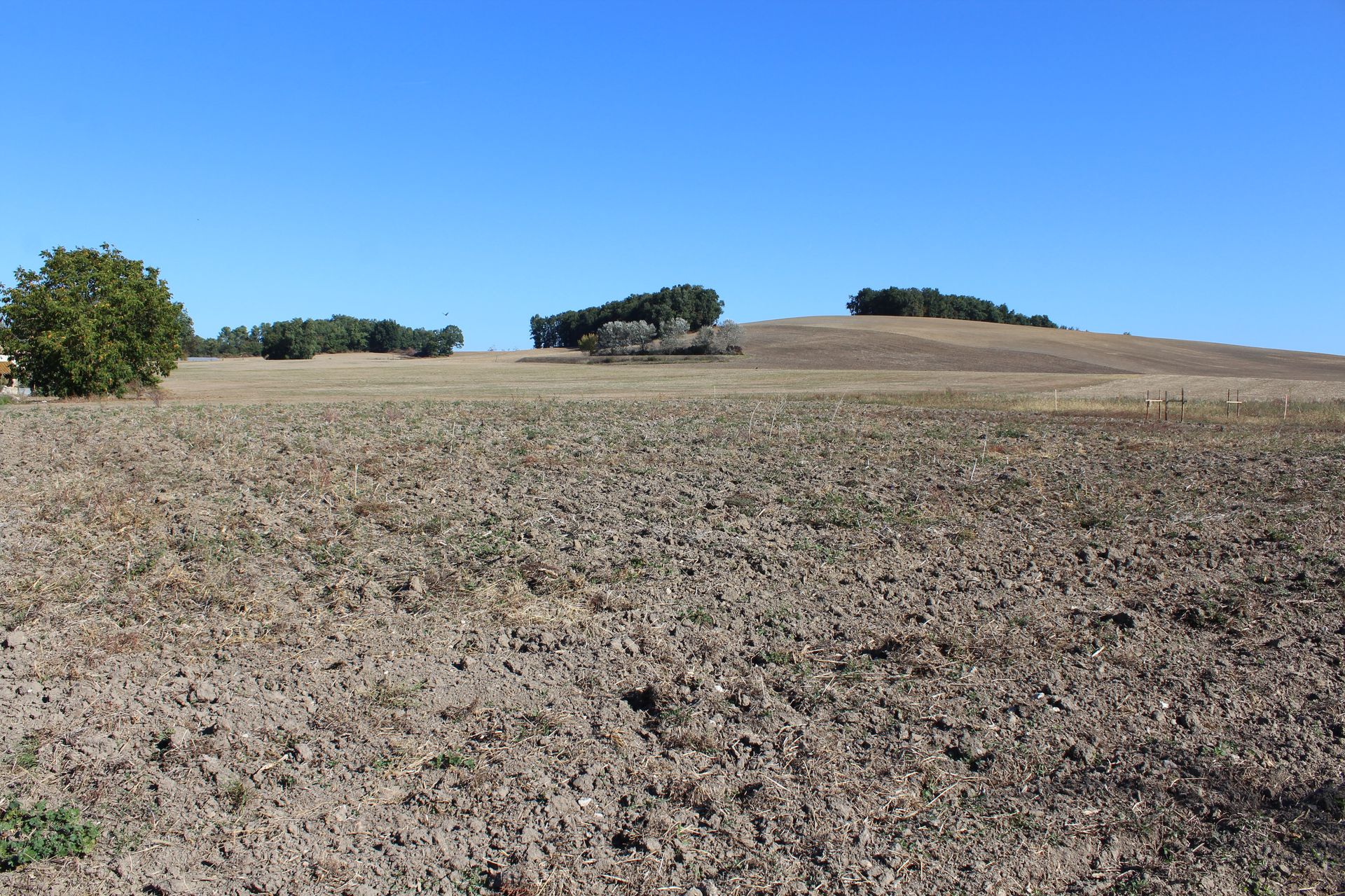 Land in Beaumont, Nouvelle-Aquitaine 10024518