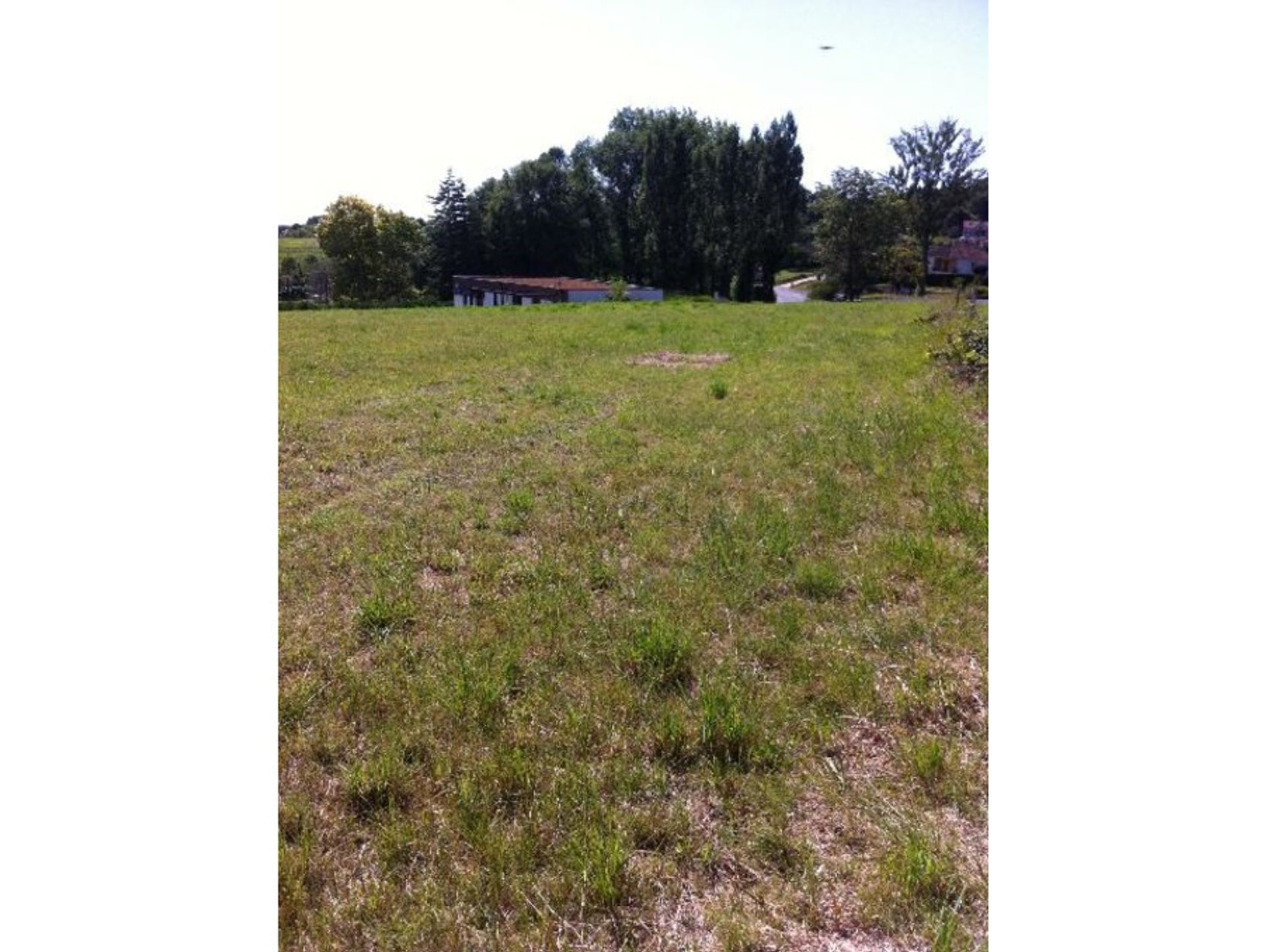 Land in Belves, Nouvelle-Aquitaine 10024527