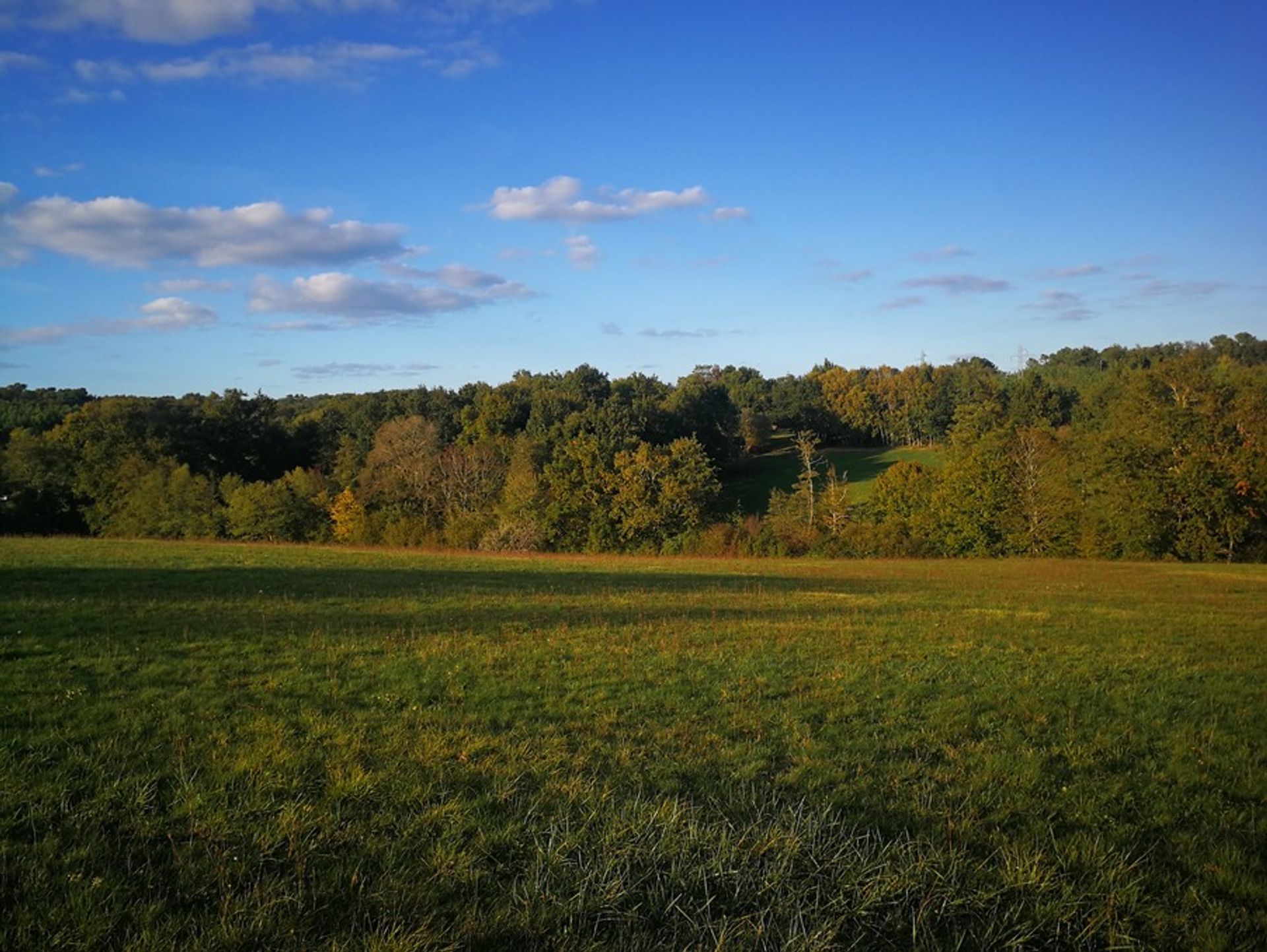 Maa sisään Bergerac, Nouvelle-Aquitaine 10024563