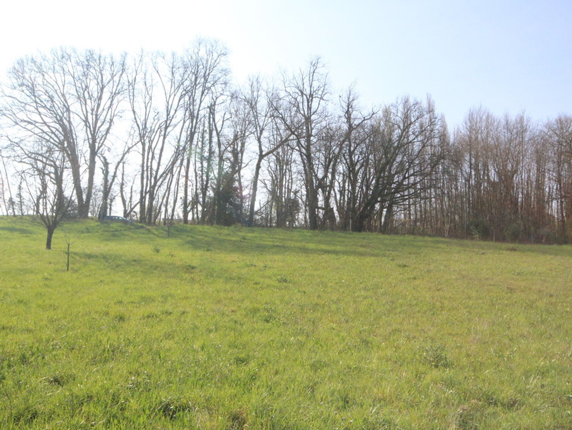 Land i Le Coux, Nouvelle-Aquitaine 10024592