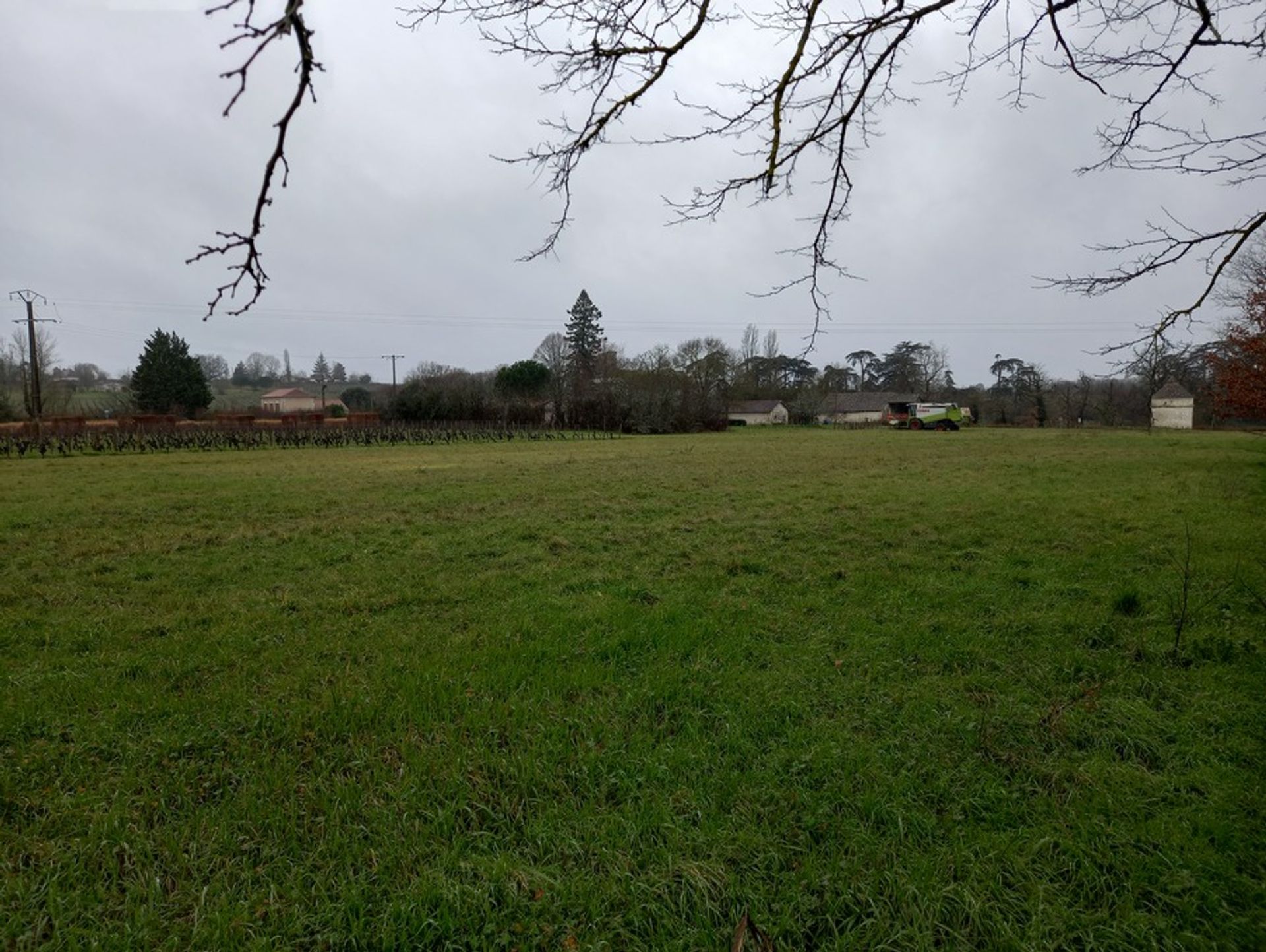 Tanah di Saussignac, Nouvelle-Aquitaine 10024635