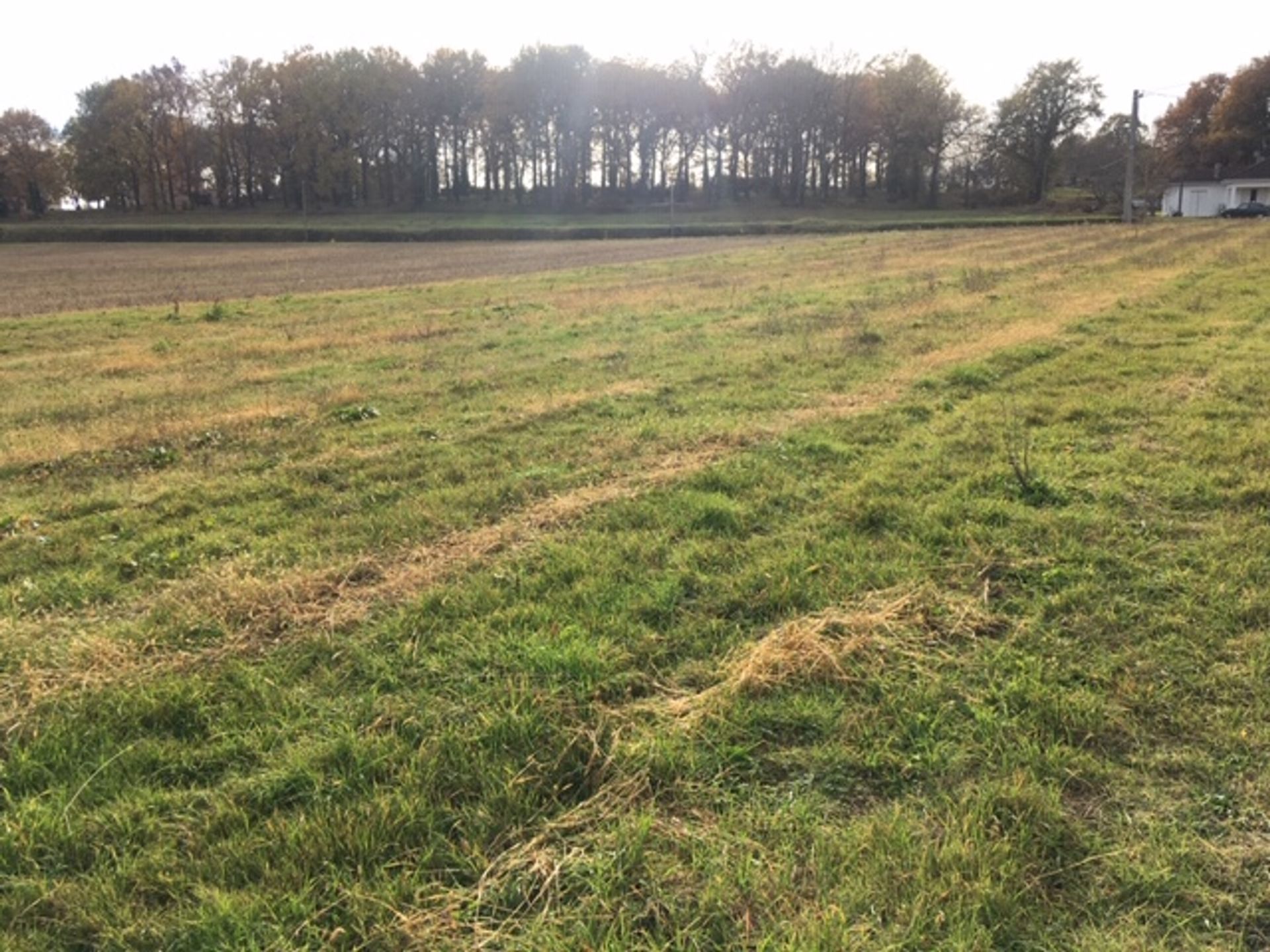 Land in Lalinde, Nouvelle-Aquitaine 10024685