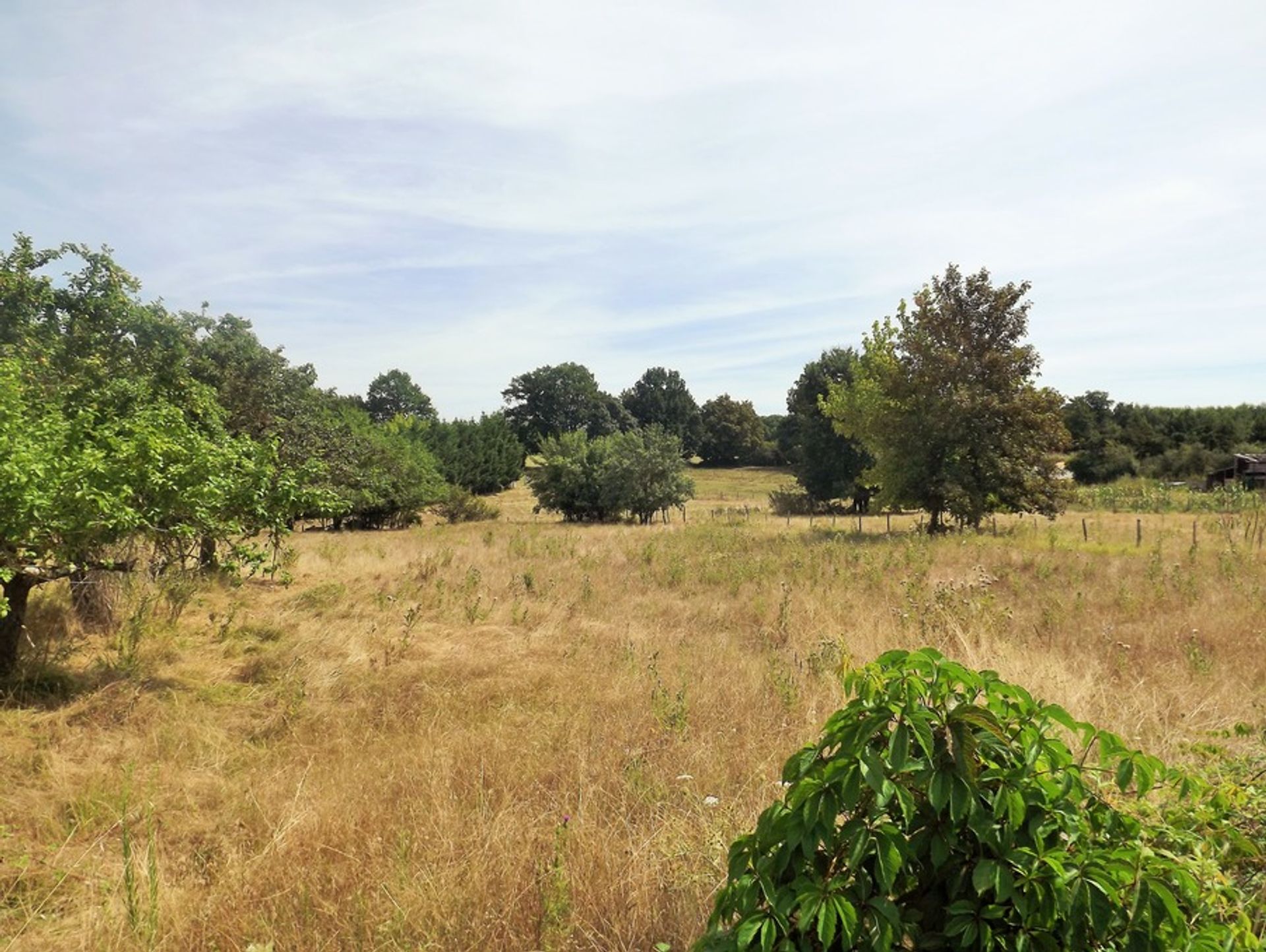 土地 在 Lavalade, Nouvelle-Aquitaine 10024693