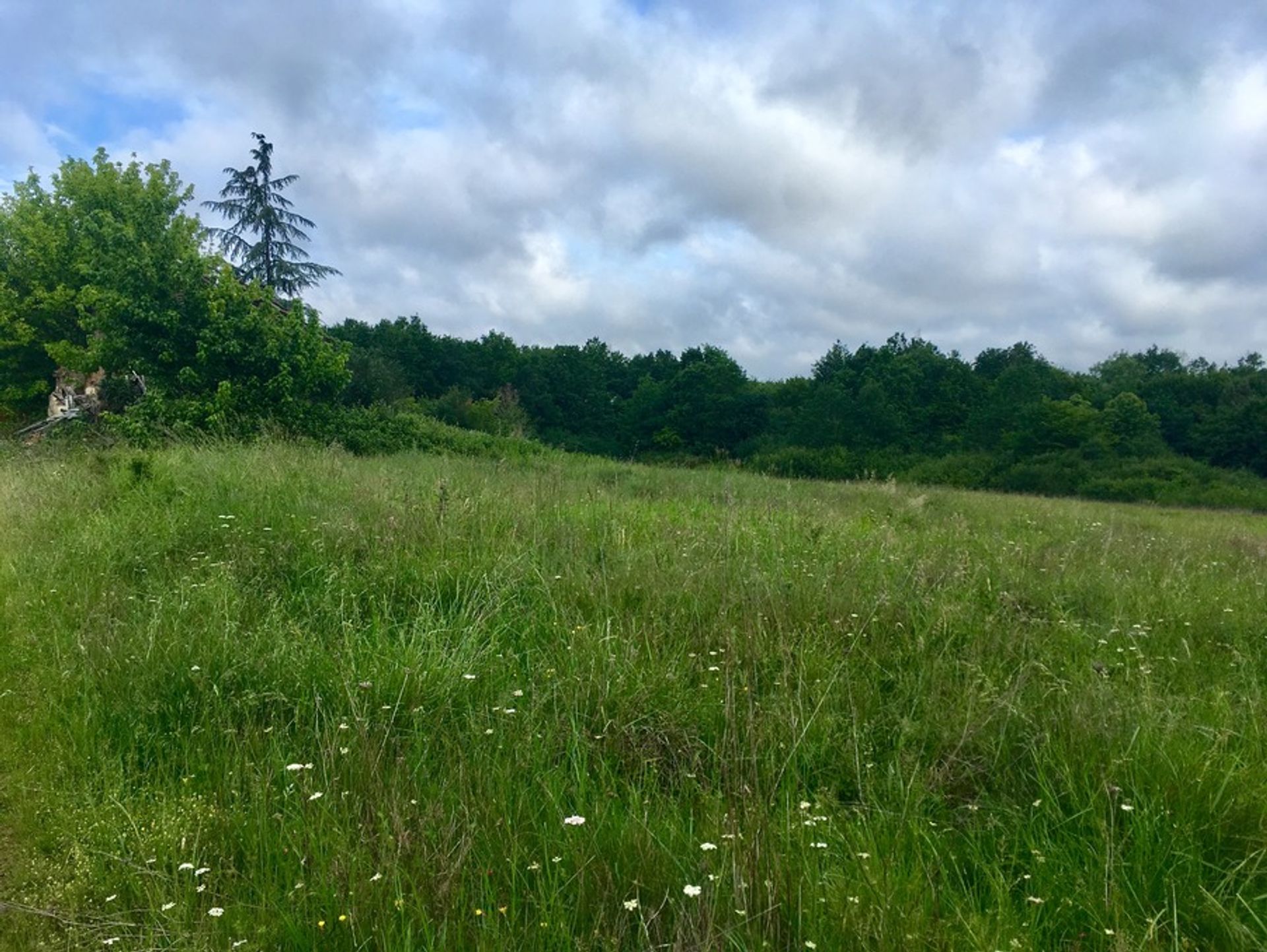 Tanah dalam Lunas, Nouvelle-Aquitaine 10024701