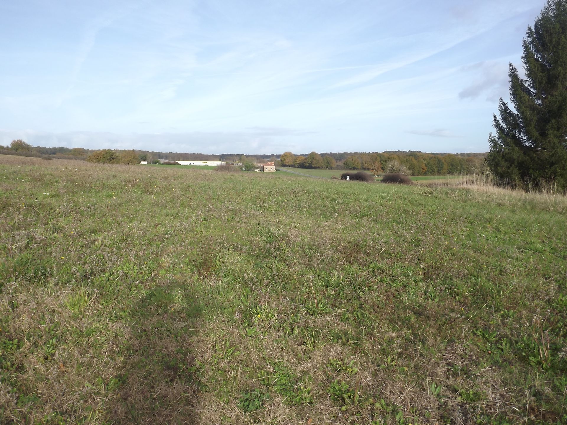 Land i Monpazier, Nouvelle-Aquitaine 10024729