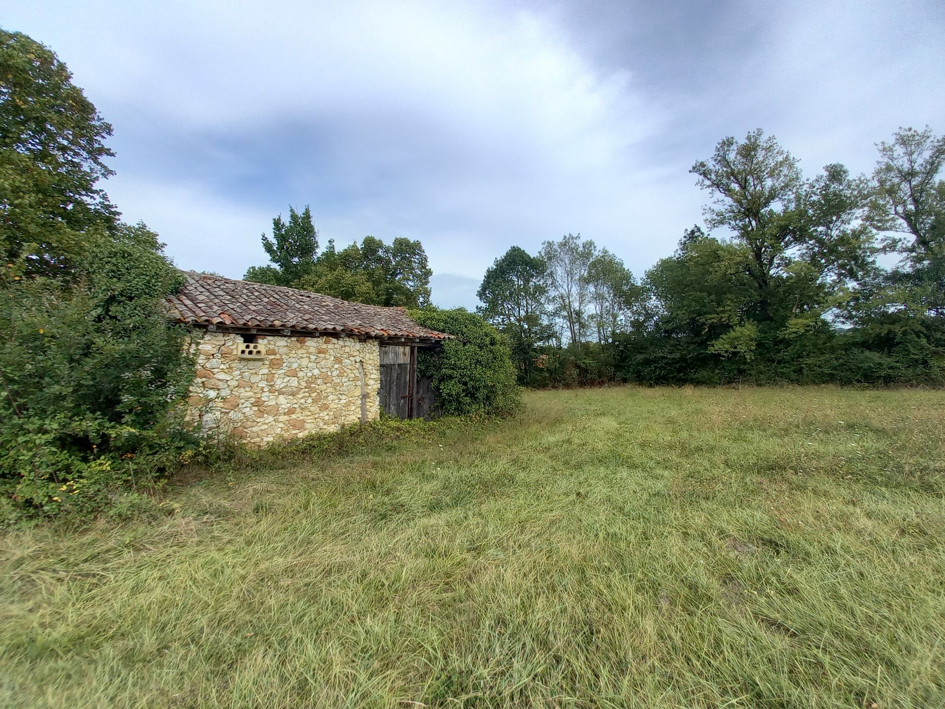 土地 在 Sainte-Sabine, Nouvelle-Aquitaine 10024853