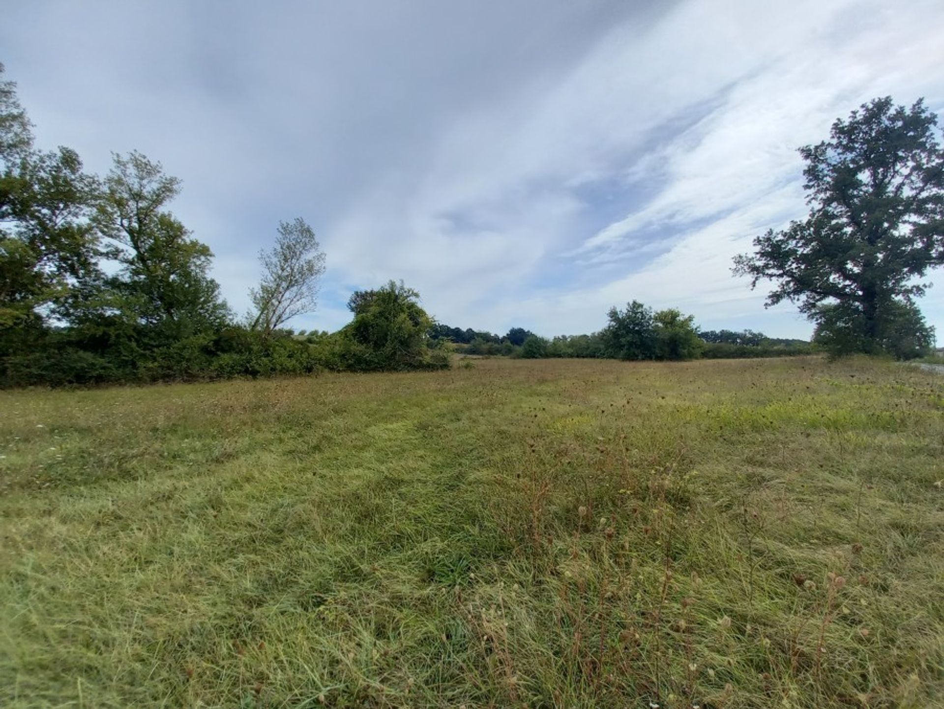 Land in Sainte-Sabine, Nouvelle-Aquitaine 10024853