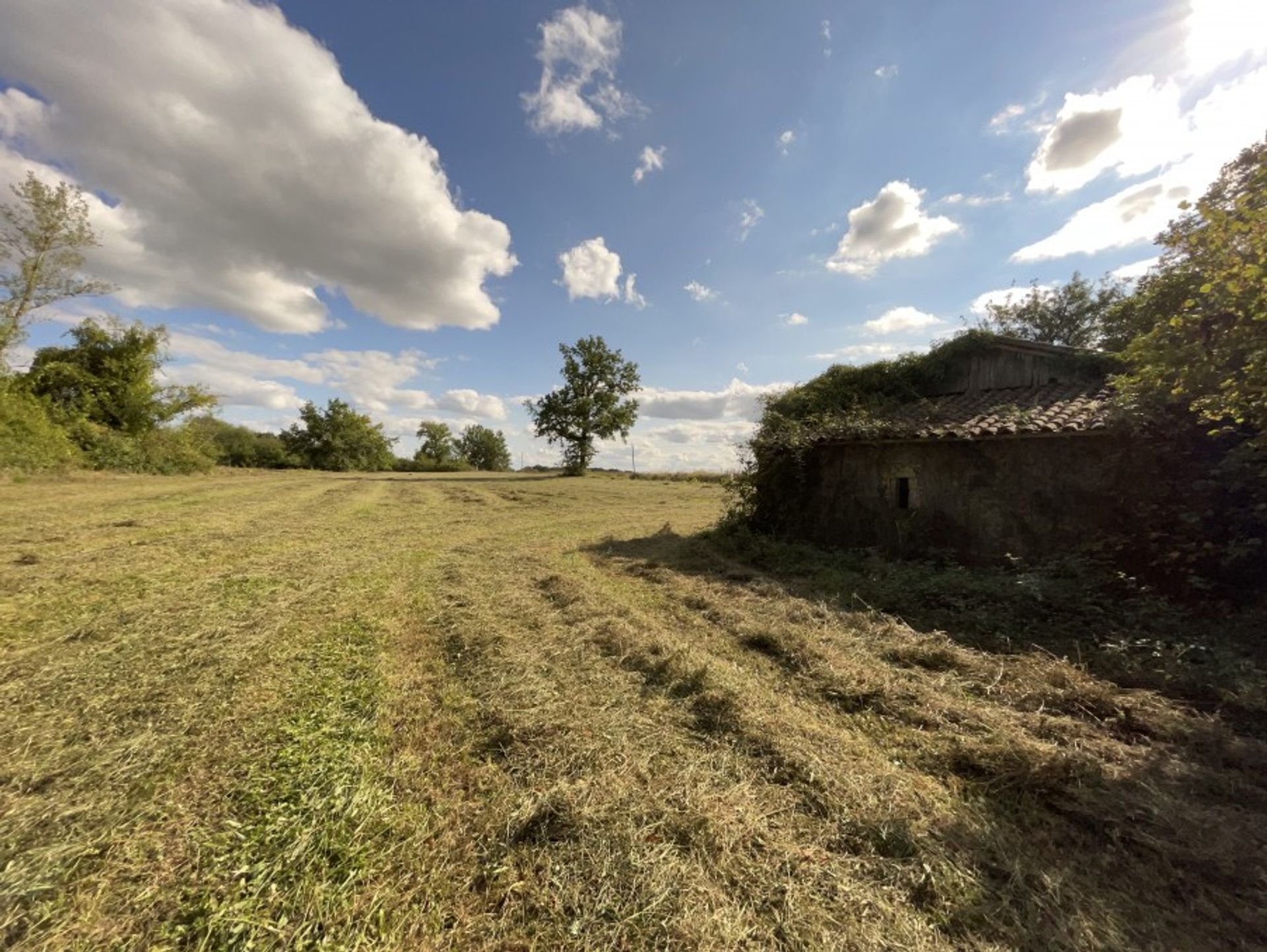 الأرض في Ste sabine born, Nouvelle-Aquitaine 10024853