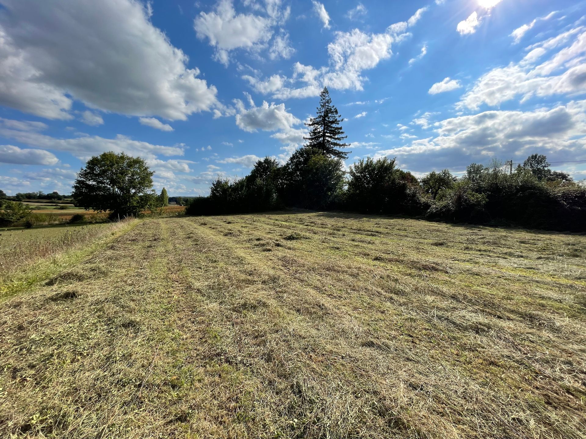 الأرض في Sainte-Sabine, Nouvelle-Aquitaine 10024856