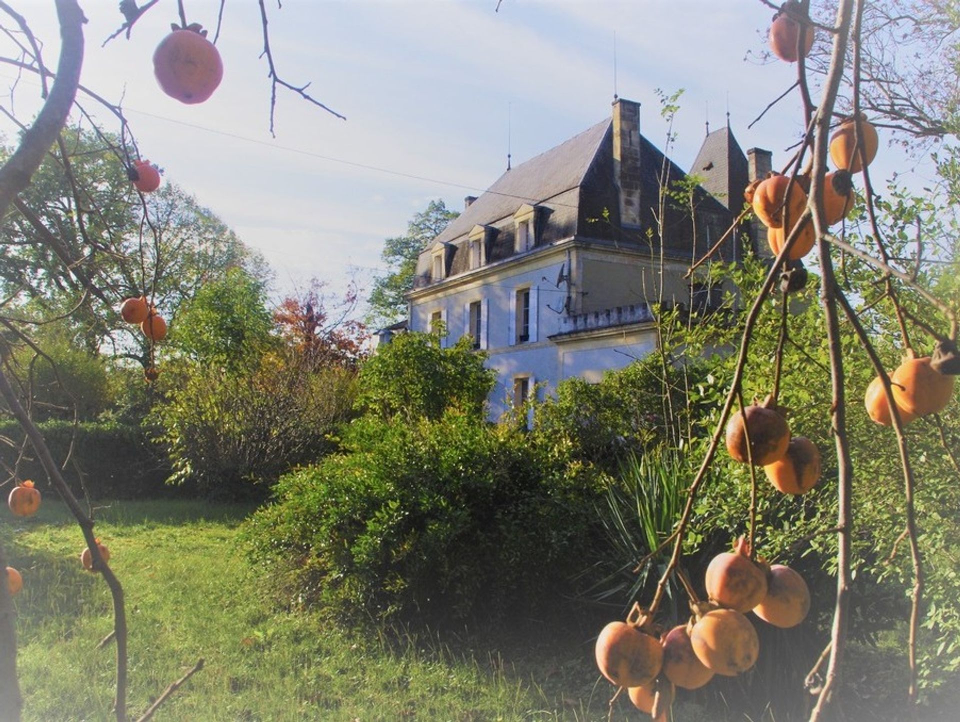 Talo sisään Pineuilh, Nouvelle-Aquitaine 10024877