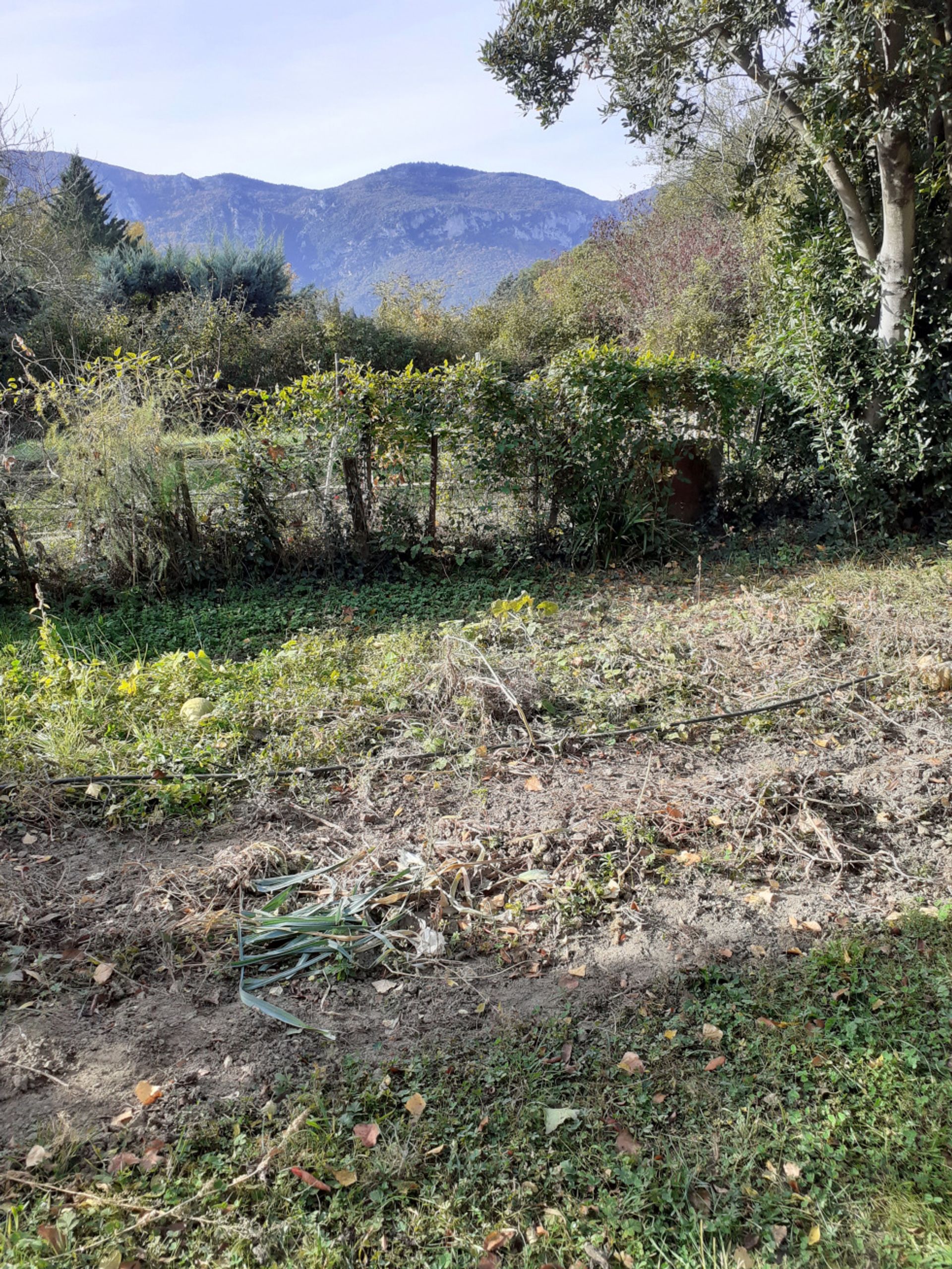 rumah dalam Maison De Maitre De Caractere Entierement Restauree Avec Jardin Non..., Occitanie 10025301