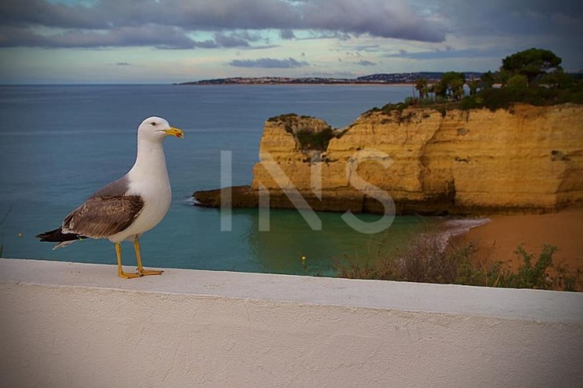 Будинок в Albufeira e Olhos de Água, Albufeira 10026205