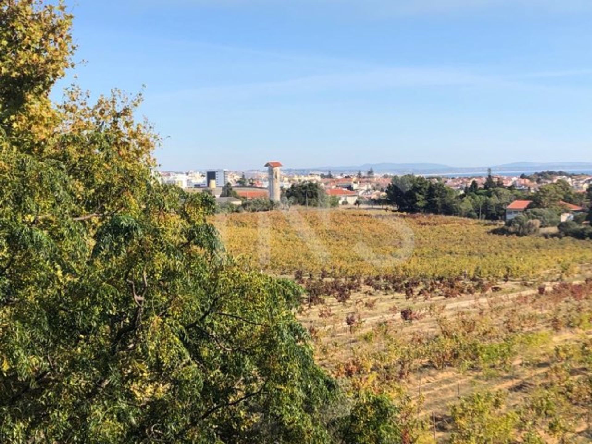 Condominium in Carcavelos e Parede, Cascais 10026535