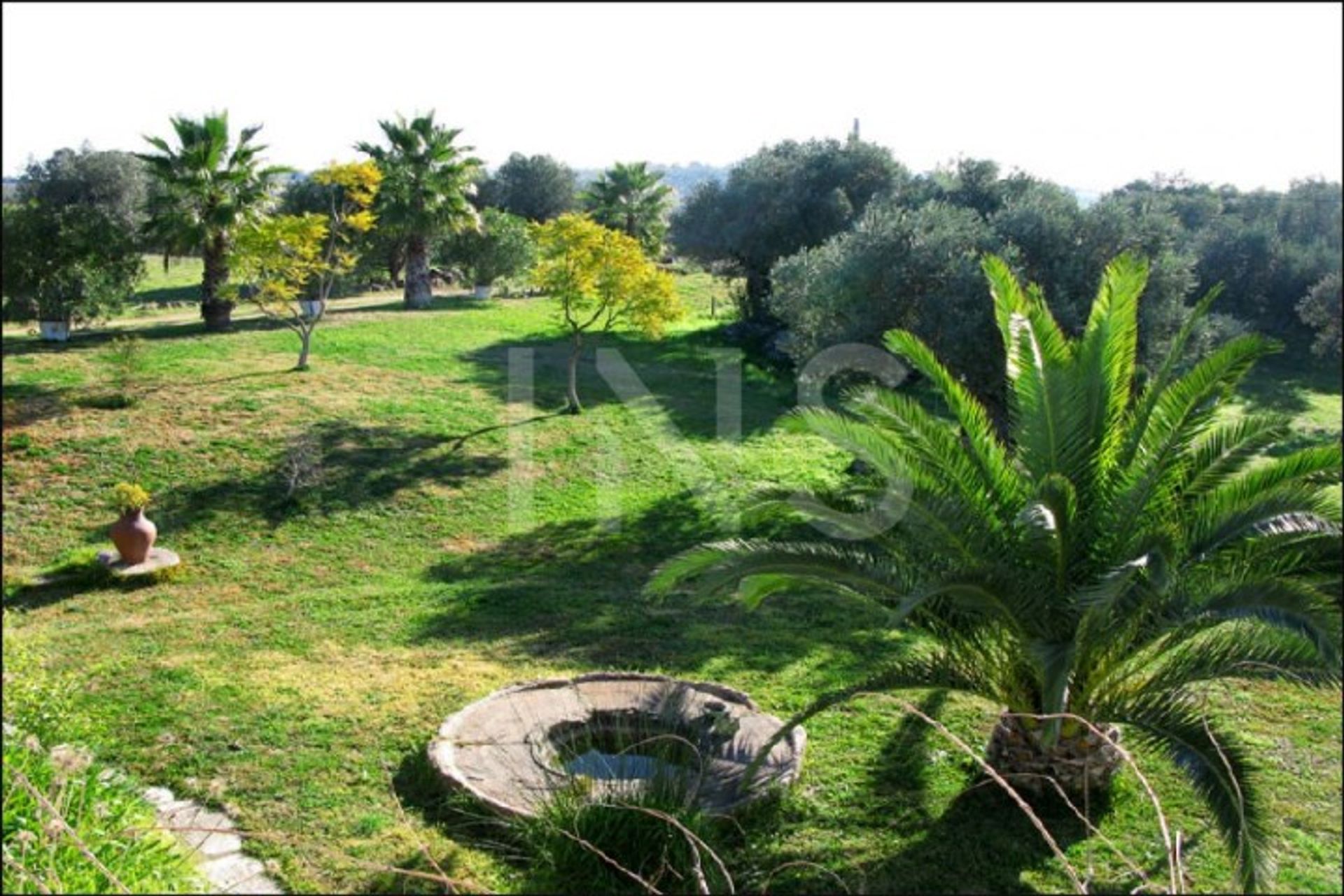 Casa nel Terrugem e Vila Boim, Elvas 10026882