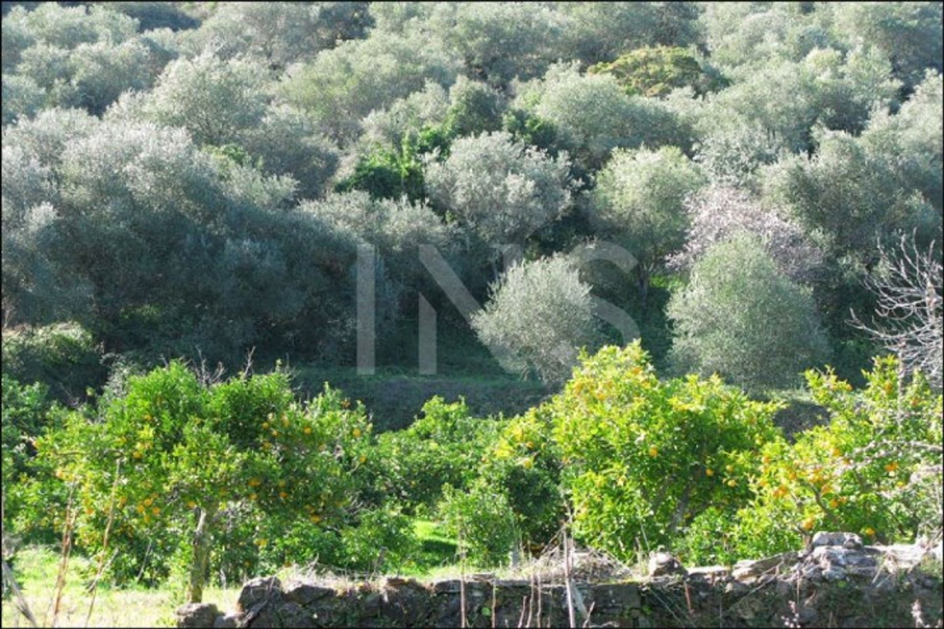 Casa nel Terrugem e Vila Boim, Elvas 10026882