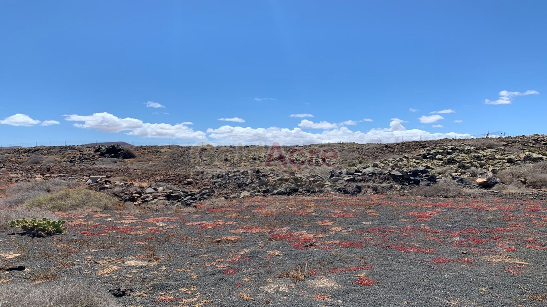 Talo sisään Majanicho, Canary Islands 10027850