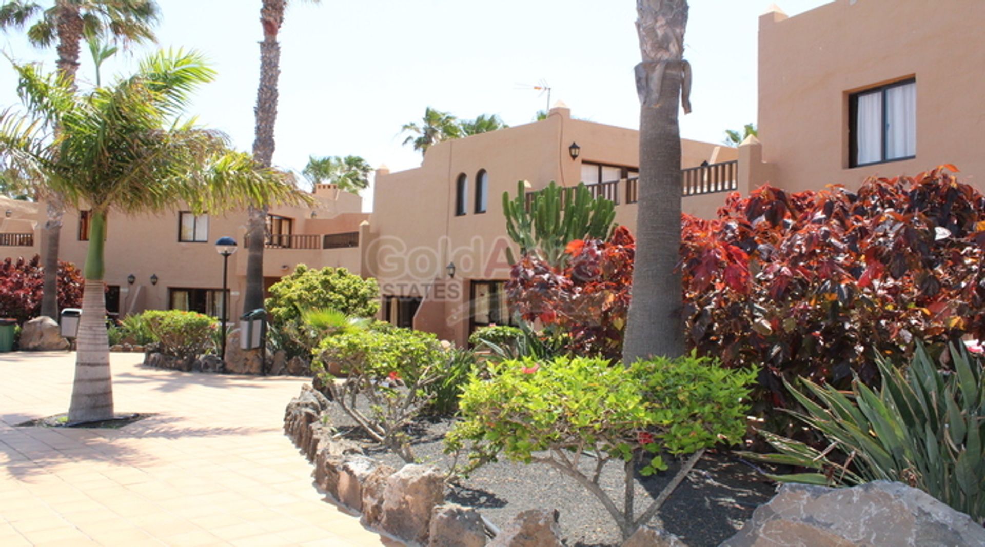 Condominium dans La Oliva, les îles Canaries 10028000