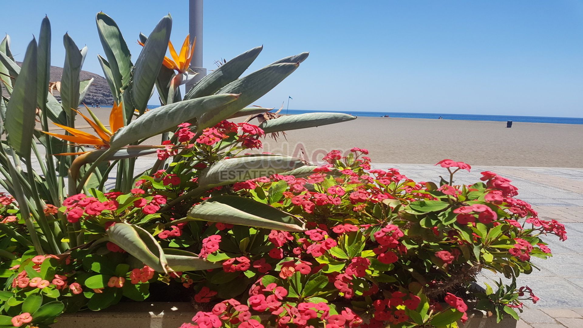 Condominio nel Gran Tarajal, Canary Islands 10028114