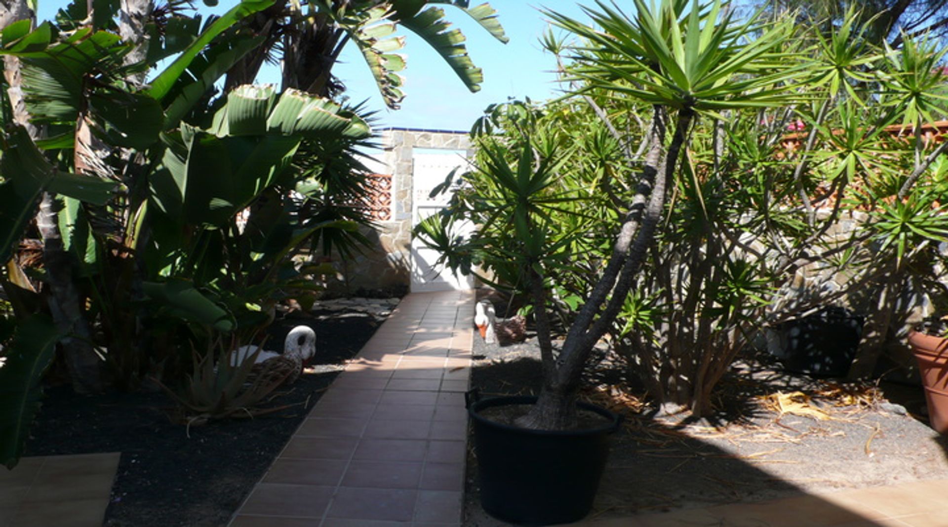 loger dans Corralejo, Canary Islands 10028127