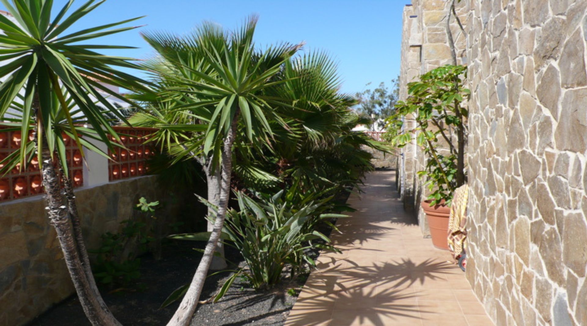 House in Corralejo, Canary Islands 10028127