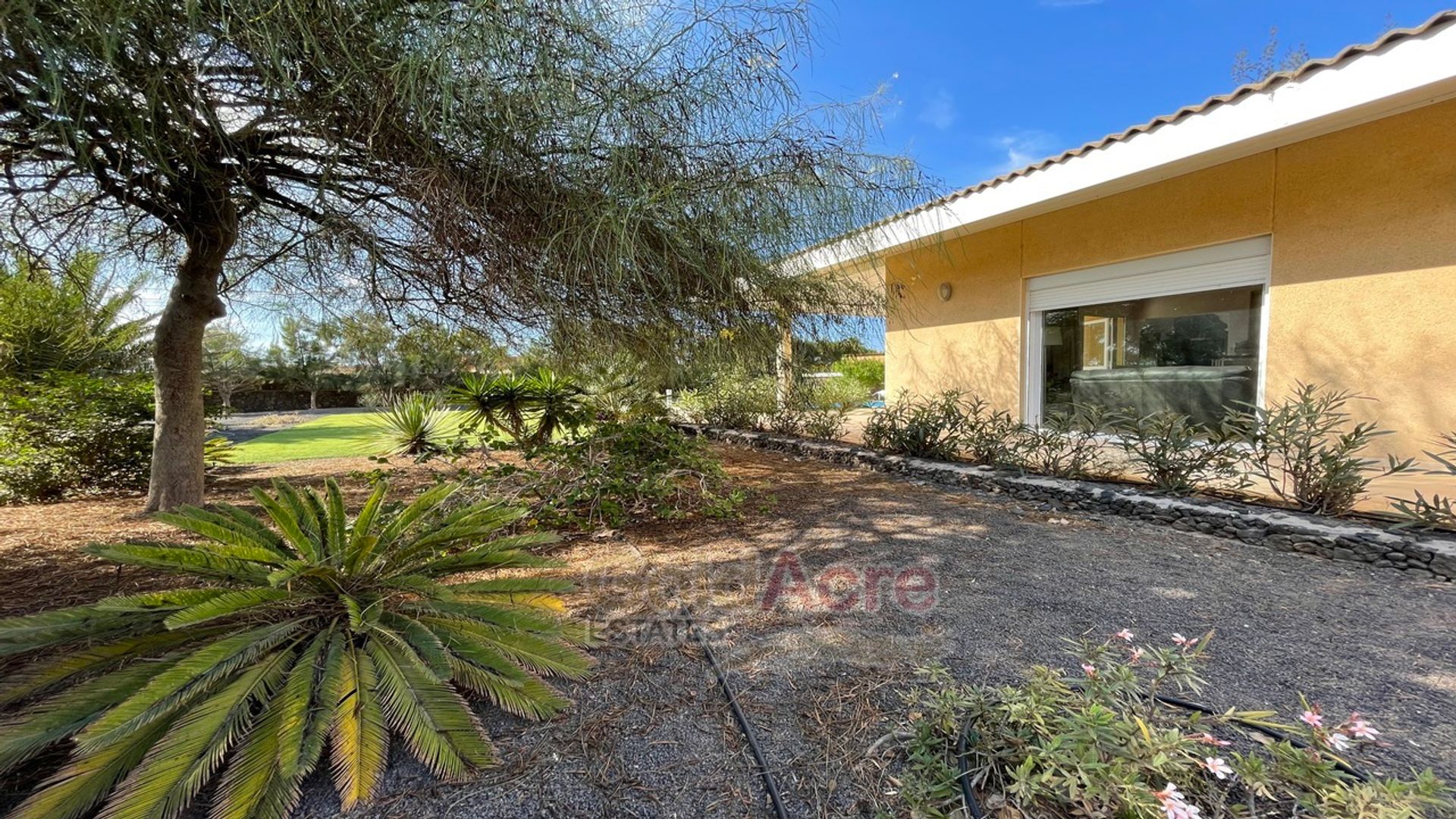 House in La Oliva, Canary Islands 10028152