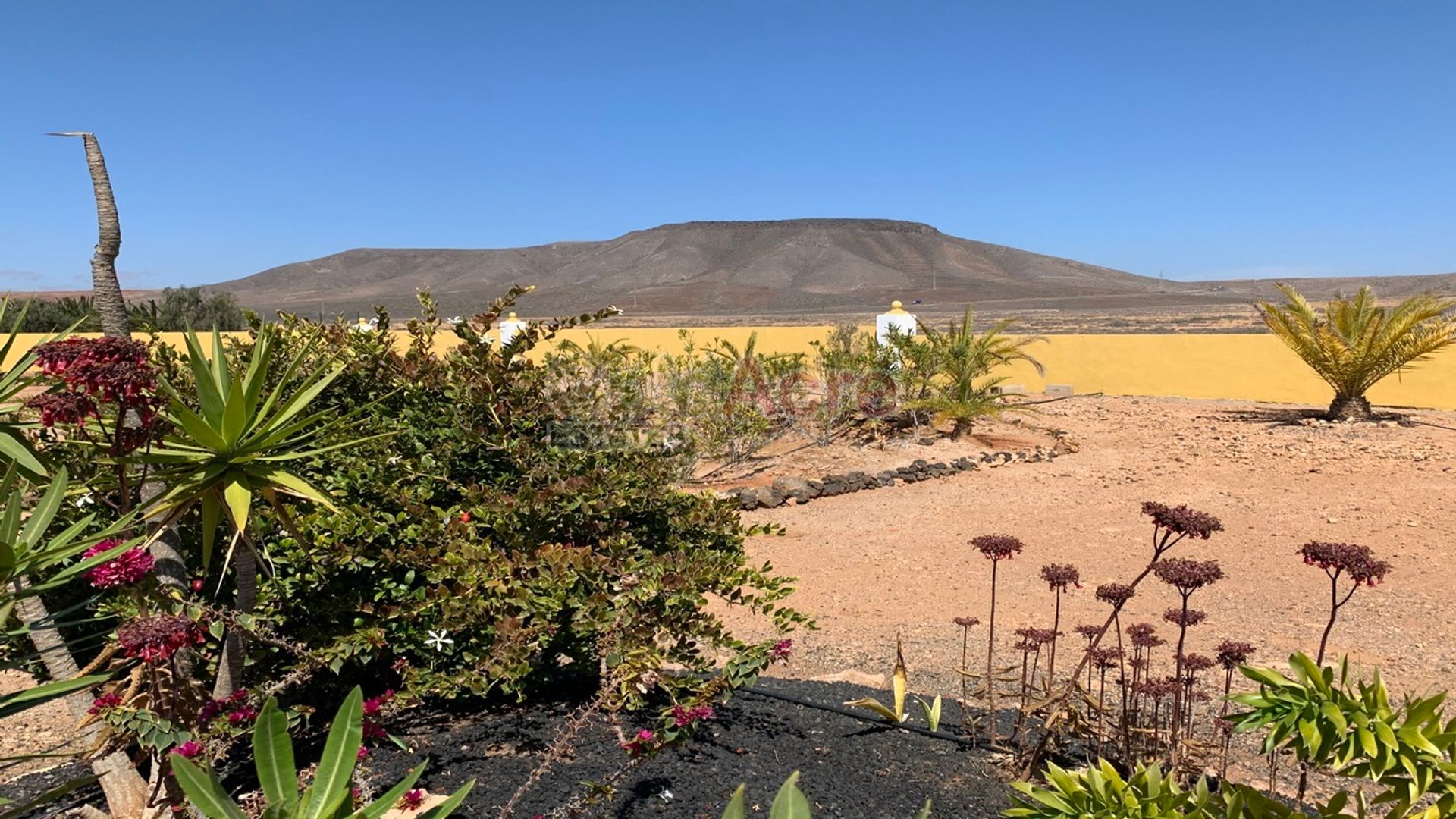 Rumah di Triquivijate, Canary Islands 10028202