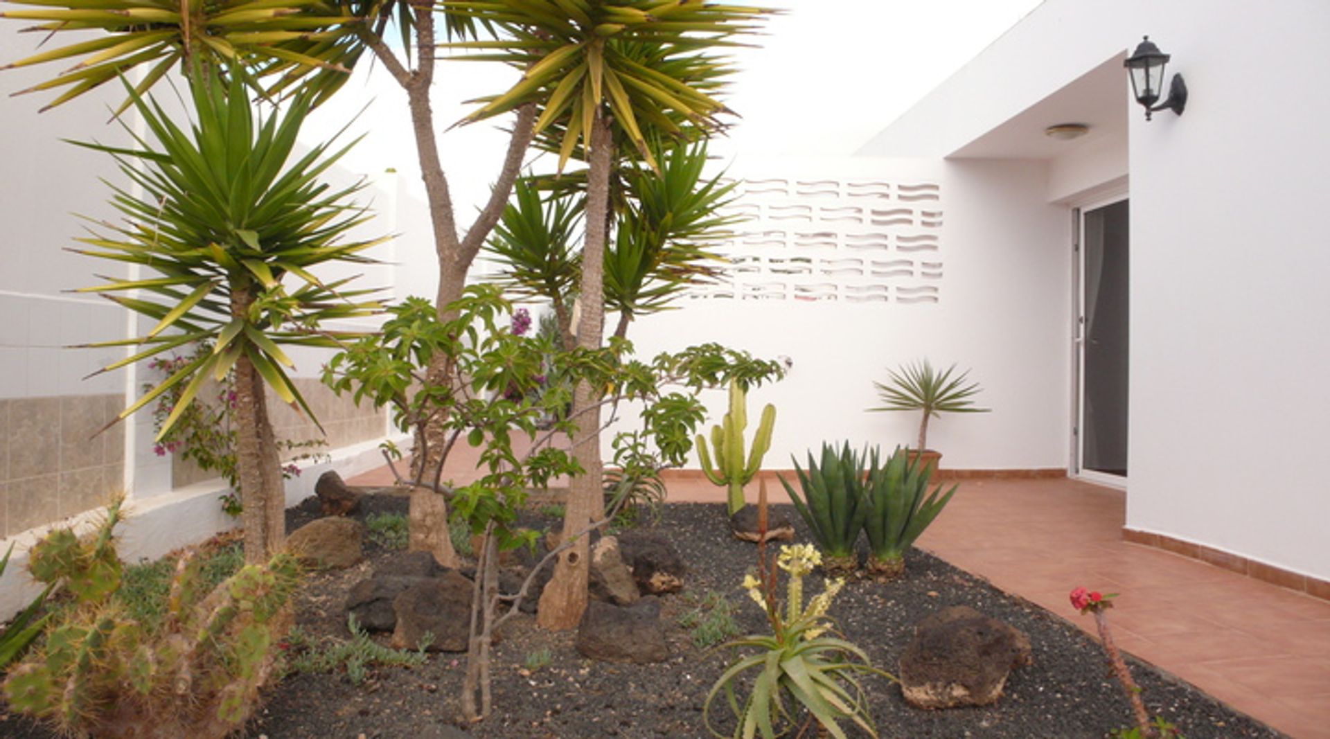 House in Triquivijate, Canary Islands 10028208