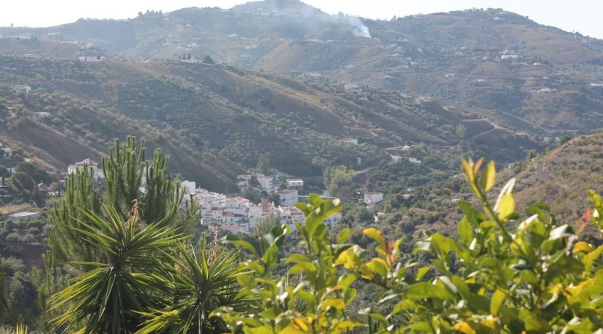 House in CanIllas de AlbaIda, Malaga 10028238