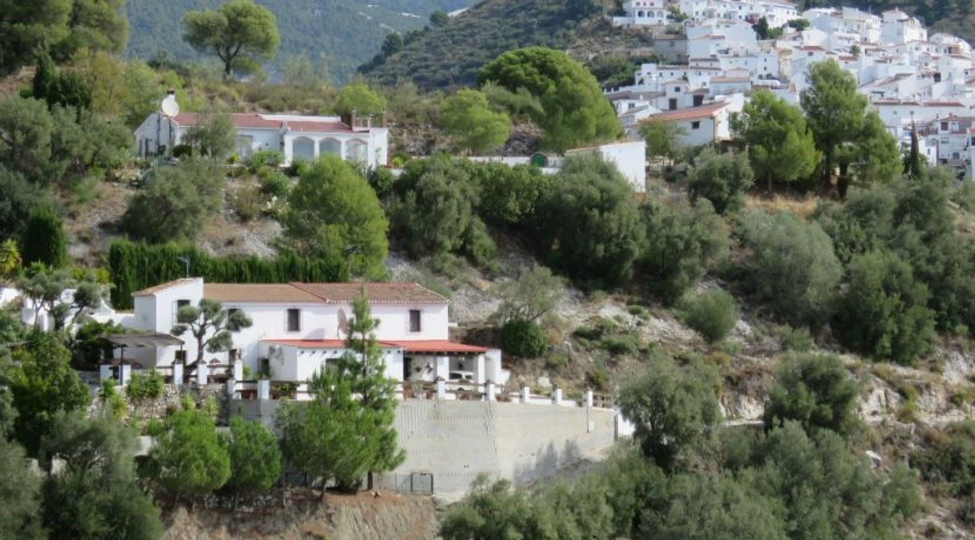 House in CanIllas de AlbaIda, Malaga 10028238