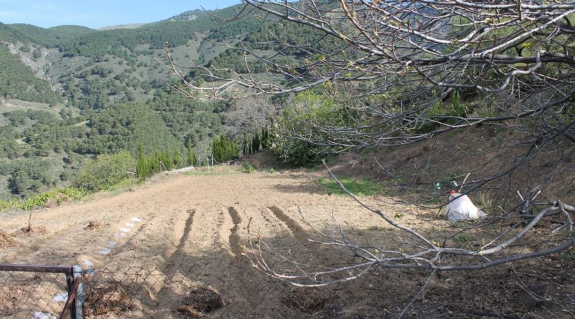 rumah dalam CanIllas de AlbaIda, Malaga 10028258