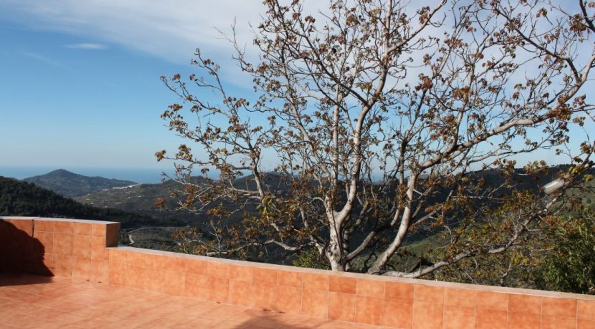 房子 在 Canillas de Albaida, Andalusia 10028258