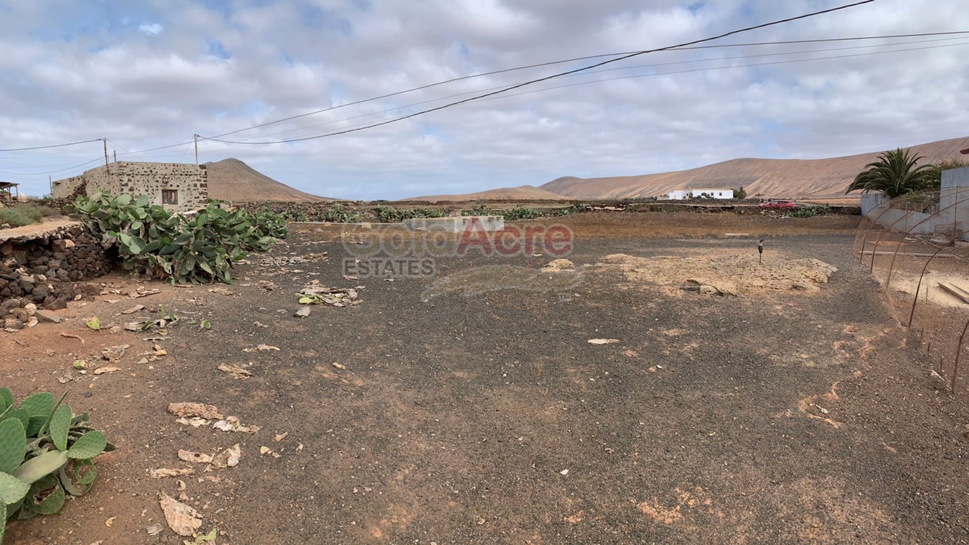 ארץ ב לה אוליבה, האיים הקנריים 10028279