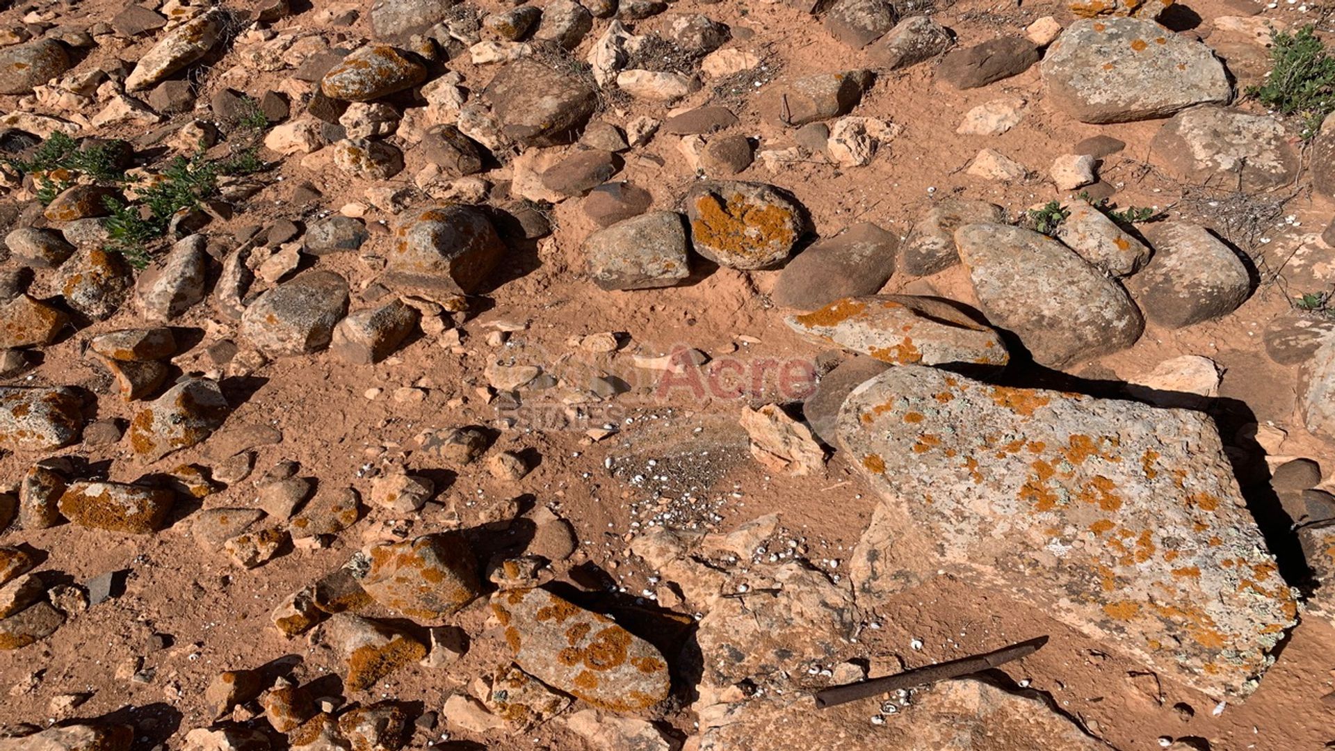 Земельные участки в Triquivijate, Canary Islands 10028287