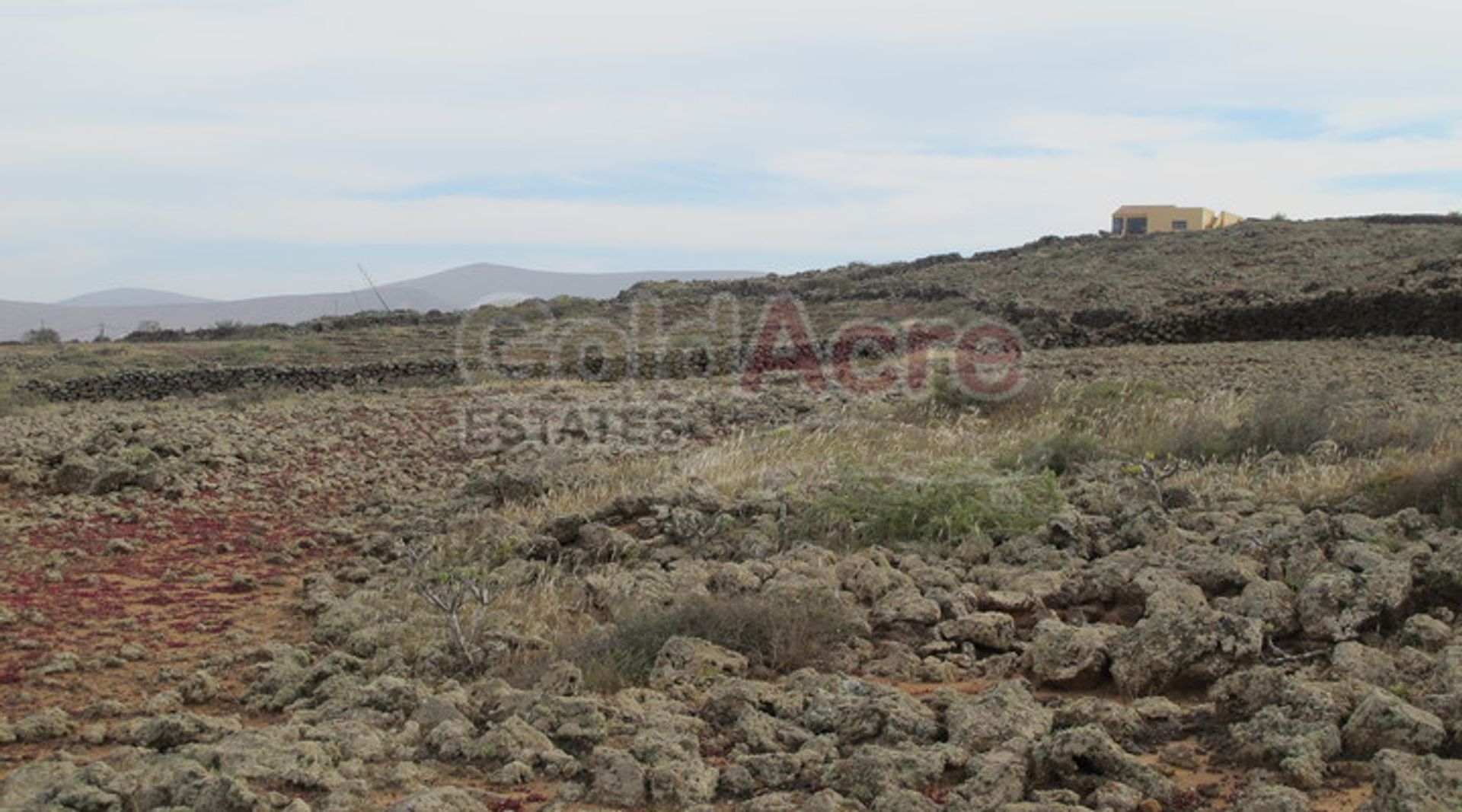 Tanah dalam Villaverde, Canary Islands 10028297