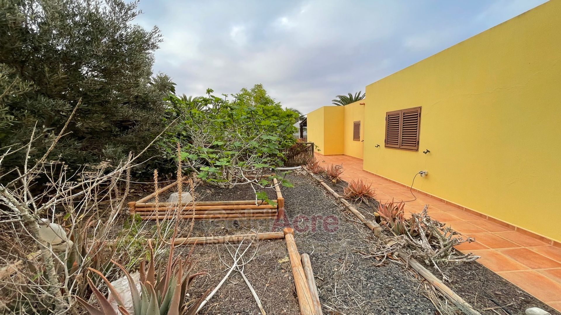 Casa nel L'Oliva, isole Canarie 10028366