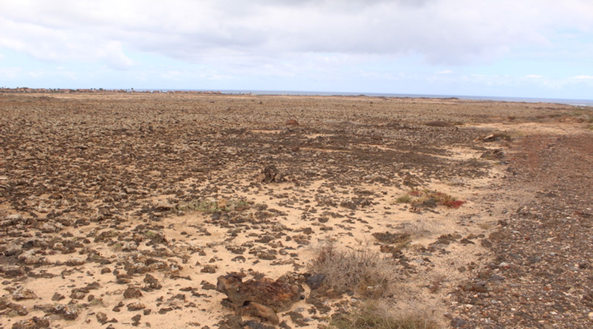 Terre dans Majanicho, Canary Islands 10028409