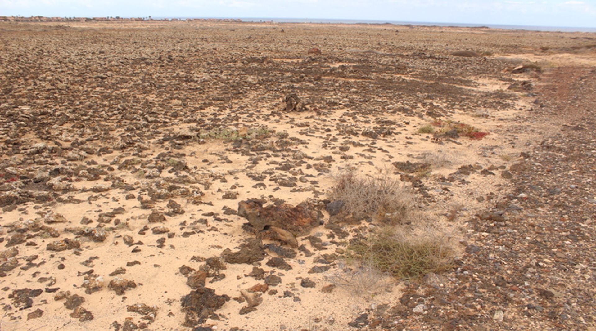 Terre dans Majanicho, Canary Islands 10028409