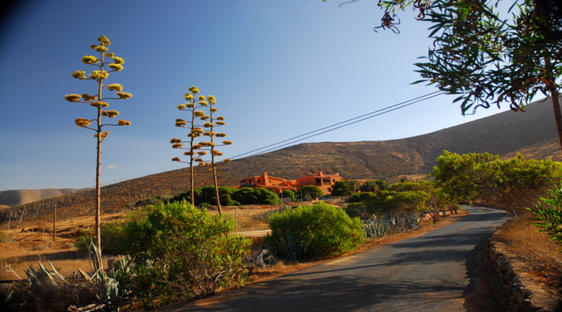 公寓 在 Betancuria, Canary Islands 10028446