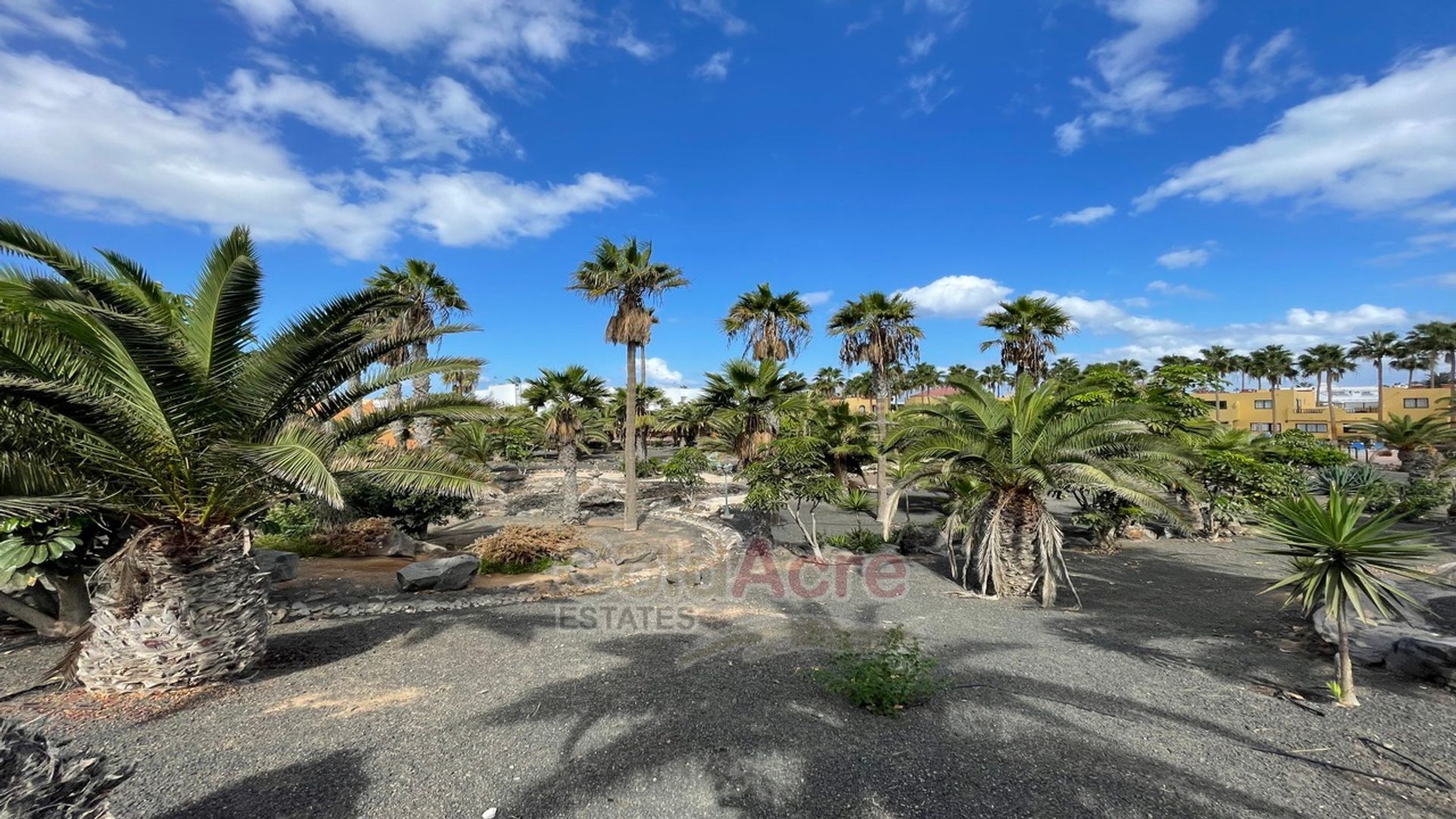 Borettslag i Corralejo, Canary Islands 10028469