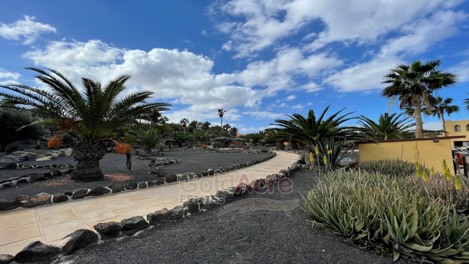 Συγκυριαρχία σε Corralejo, Canary Islands 10028474